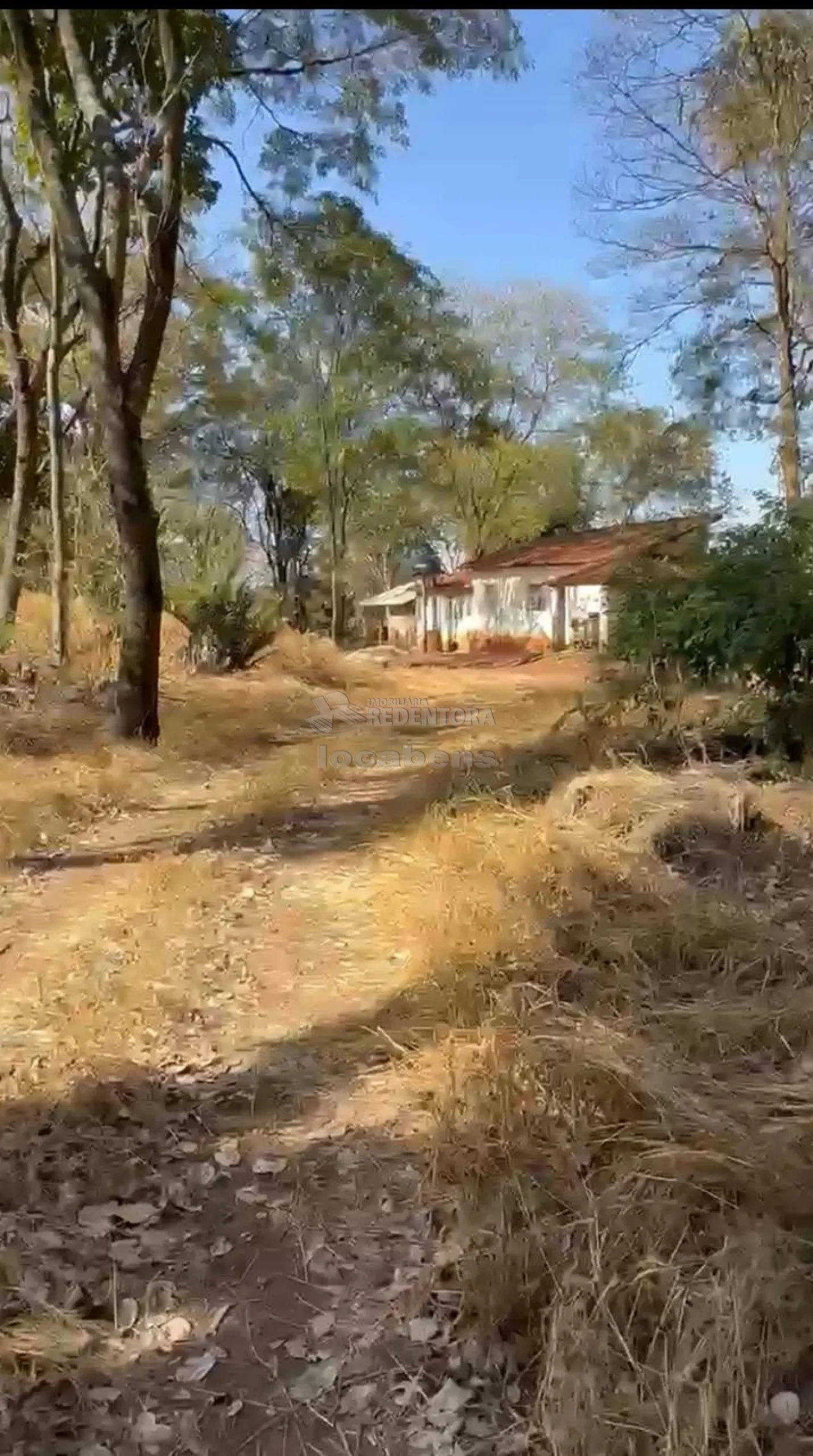 Comprar Rural / Chácara em São José do Rio Preto R$ 650.000,00 - Foto 2