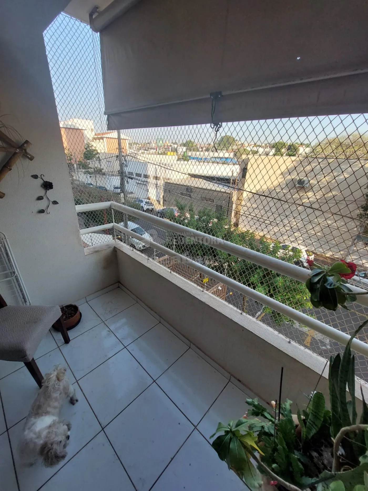 Comprar Apartamento / Padrão em São José do Rio Preto apenas R$ 320.000,00 - Foto 4