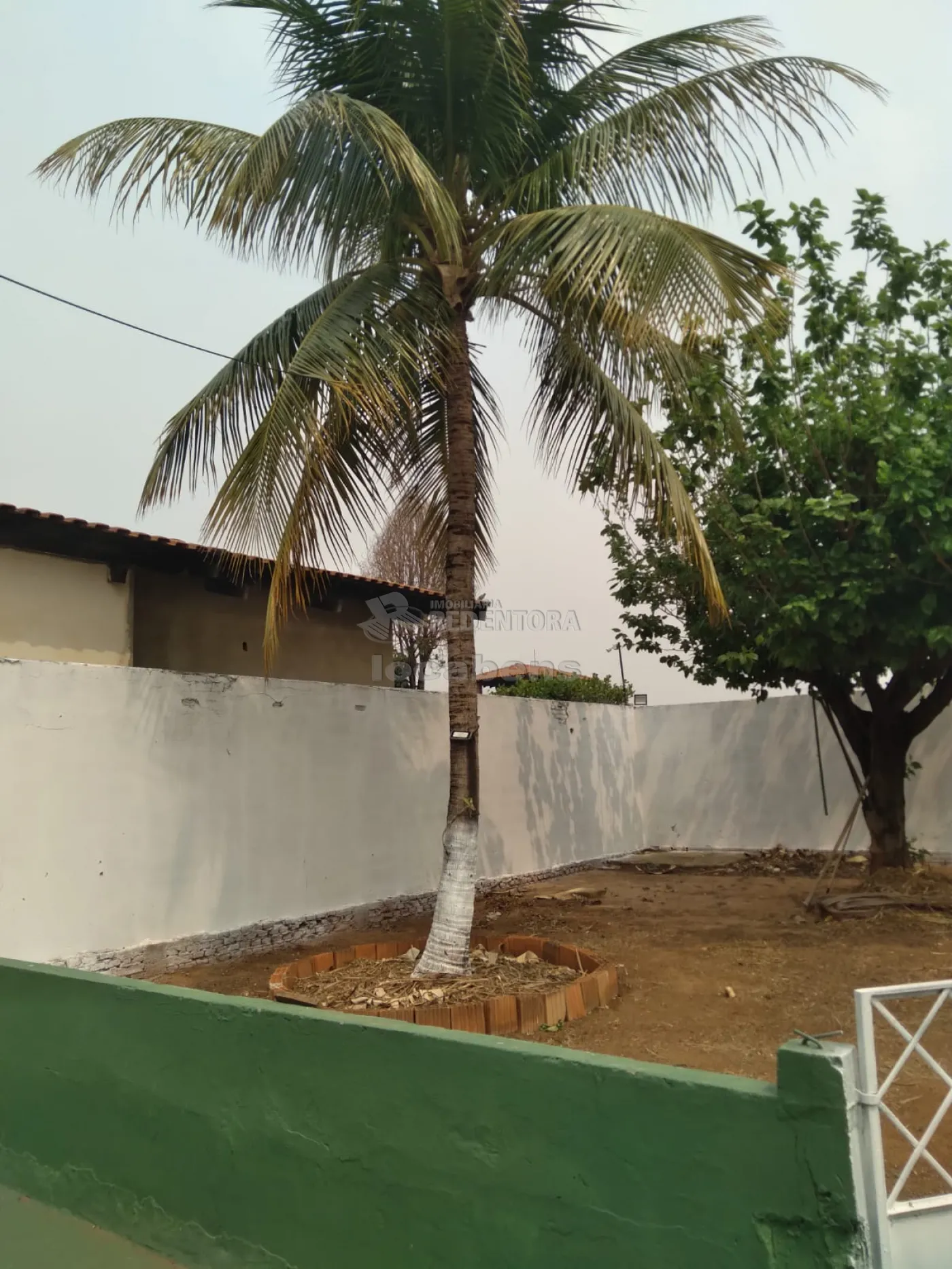 Alugar Casa / Padrão em São José do Rio Preto R$ 2.800,00 - Foto 24