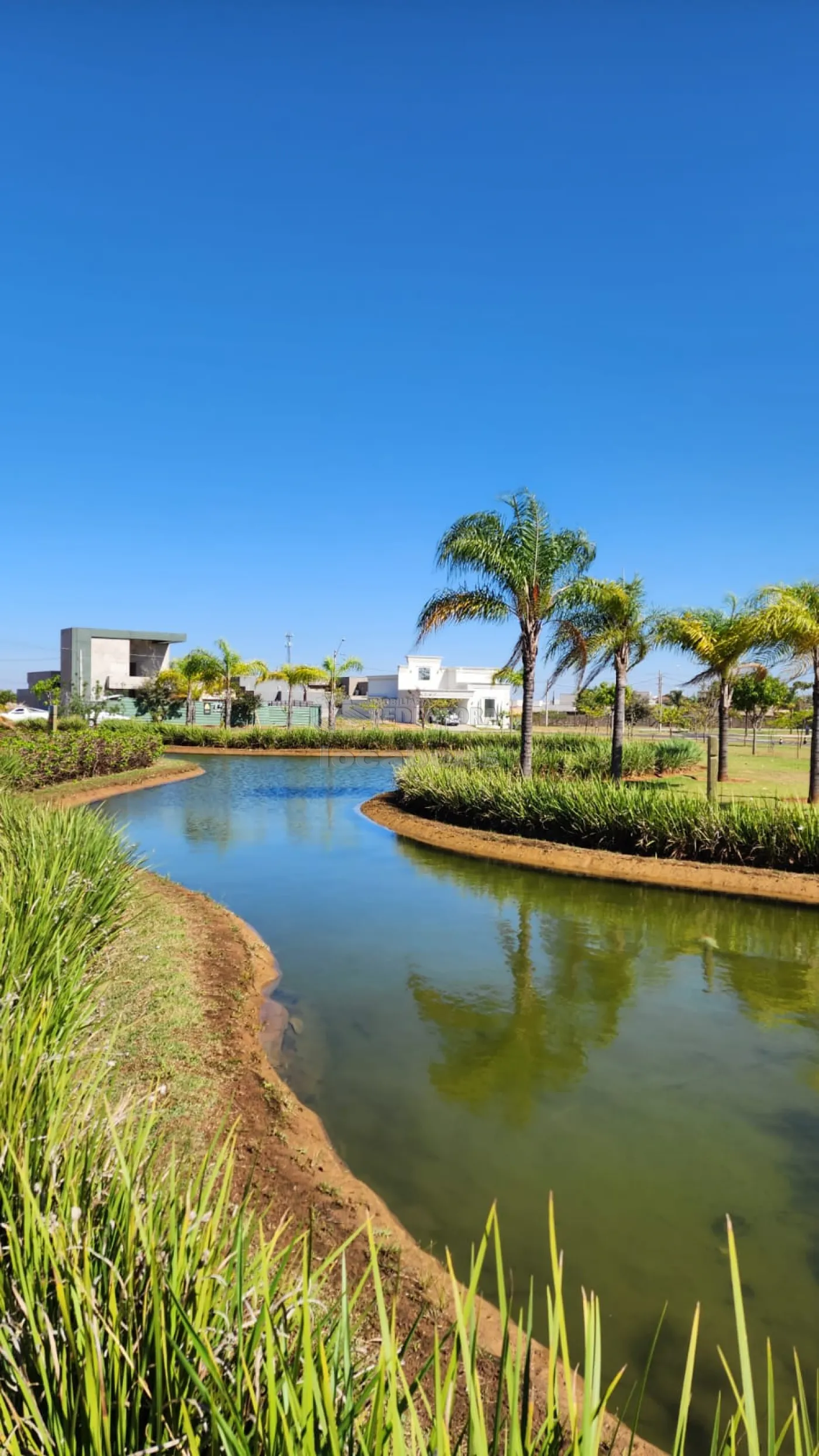 Comprar Terreno / Condomínio em Mirassol R$ 210.000,00 - Foto 4