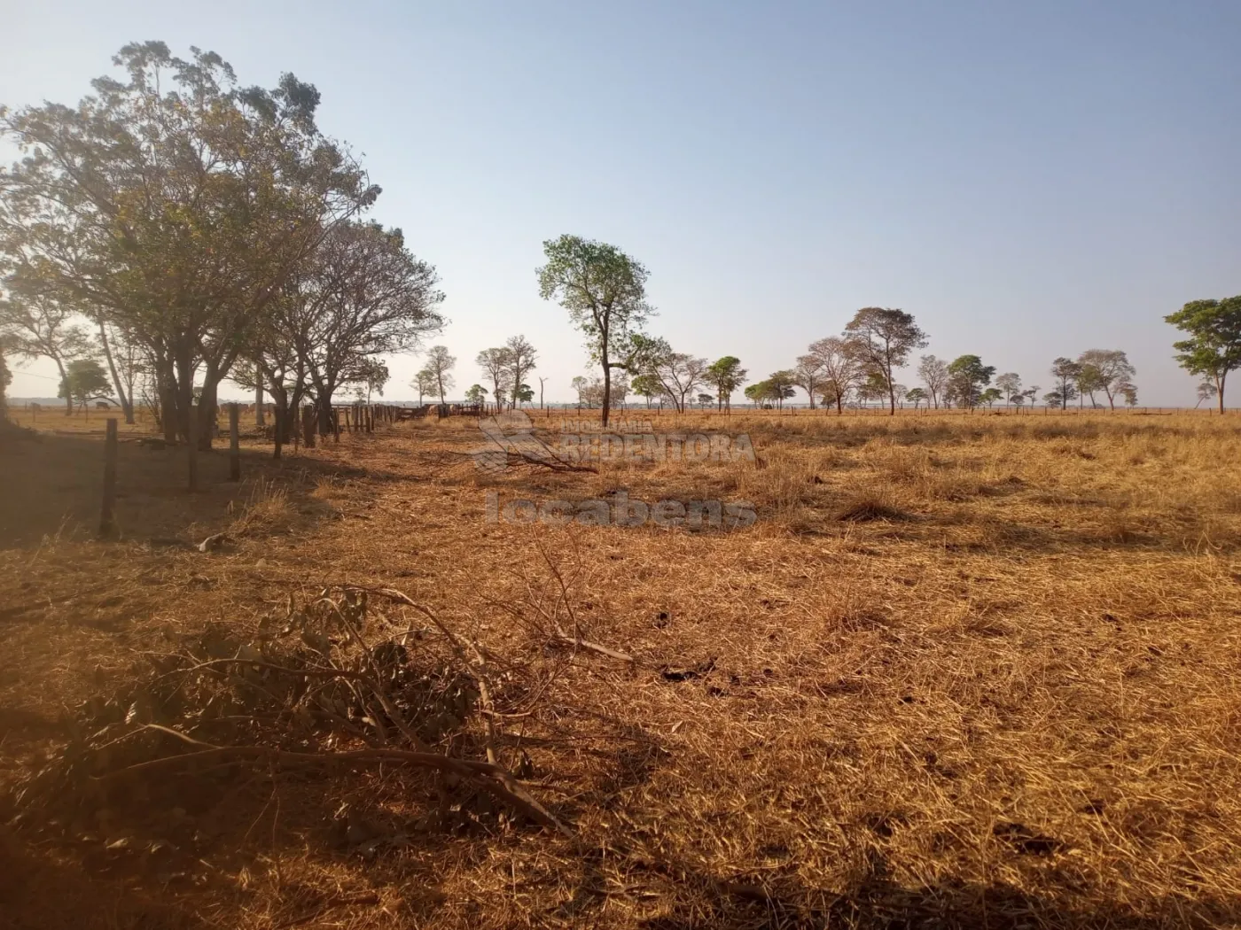 Comprar Rural / Sítio em São Francisco de Sales R$ 5.000.000,00 - Foto 1