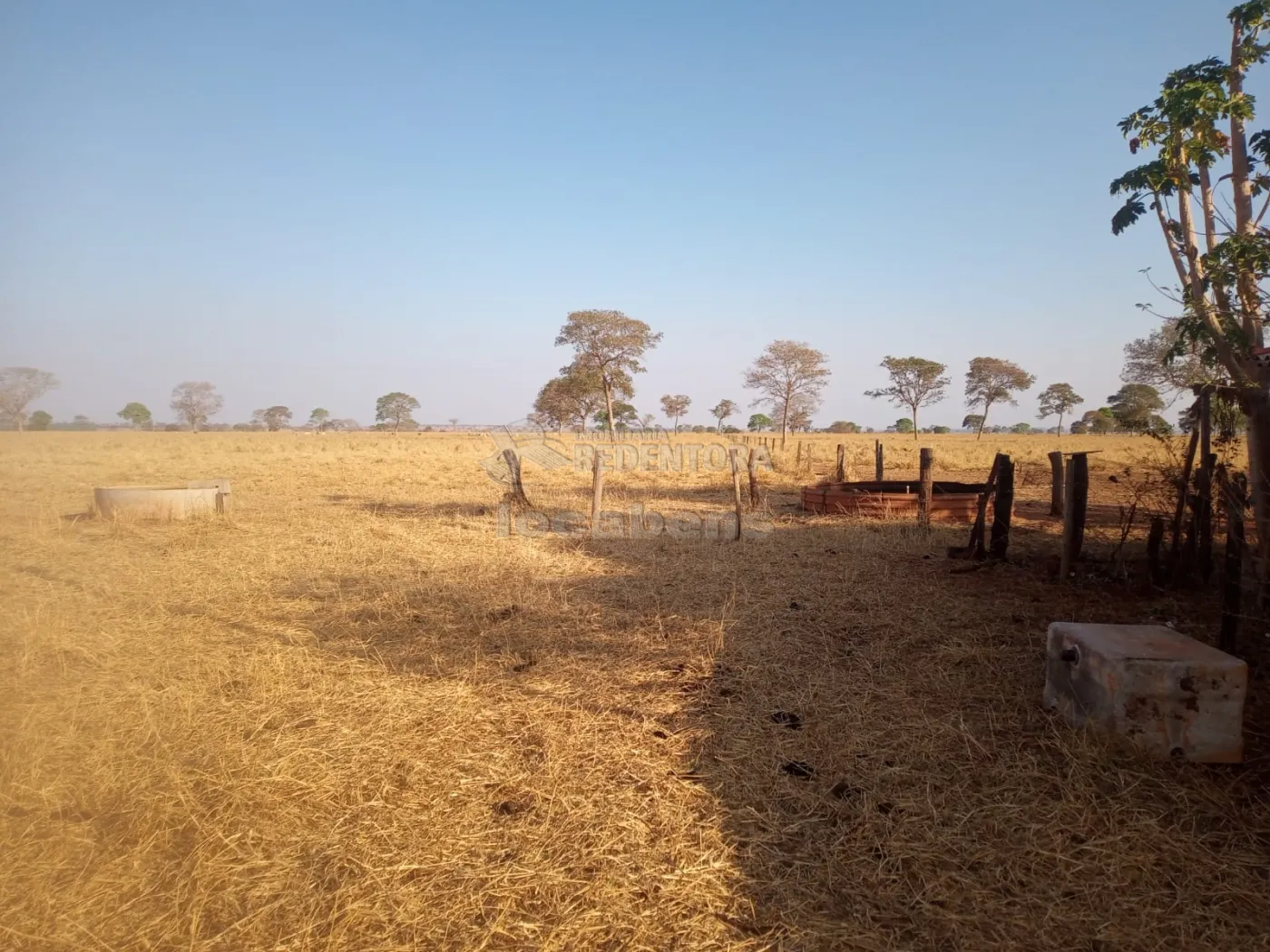 Comprar Rural / Sítio em São Francisco de Sales apenas R$ 5.000.000,00 - Foto 17