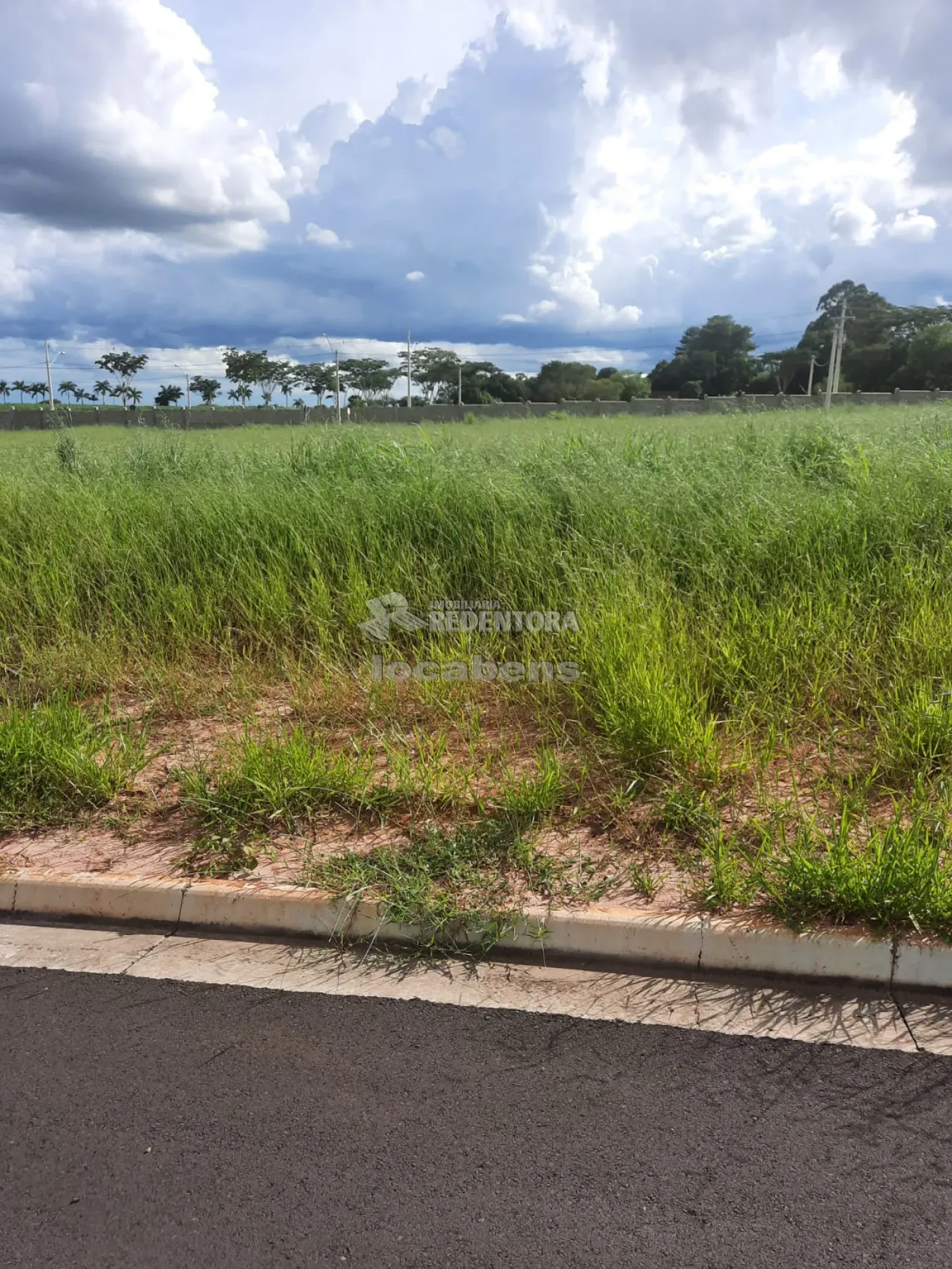 Comprar Terreno / Condomínio em São José do Rio Preto apenas R$ 650.000,00 - Foto 4