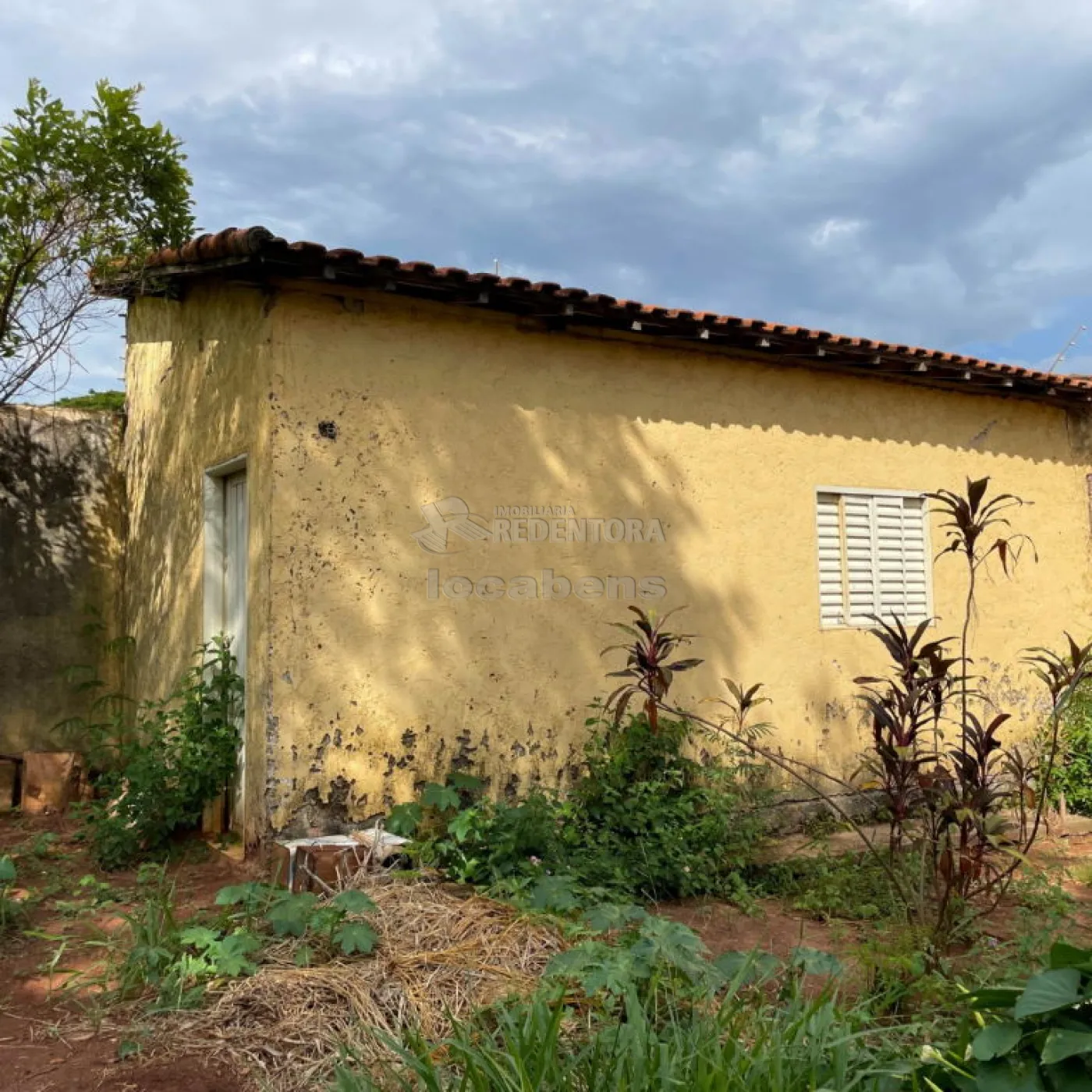 Comprar Casa / Padrão em São José do Rio Preto R$ 1.200.000,00 - Foto 5