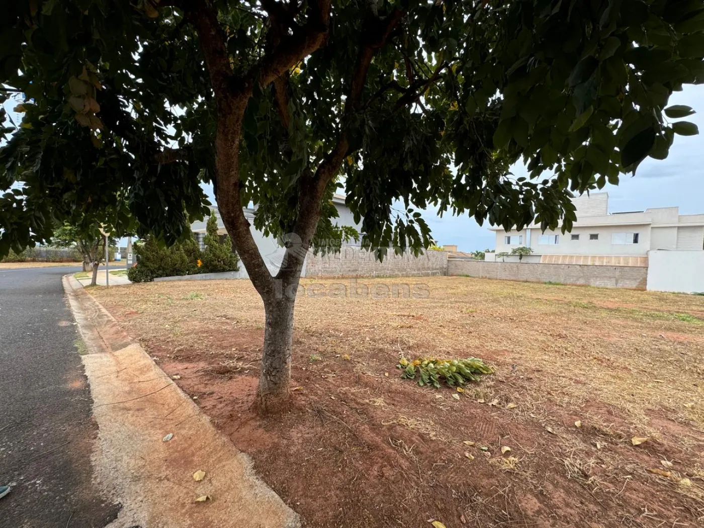 Comprar Terreno / Condomínio em São José do Rio Preto apenas R$ 750.000,00 - Foto 5