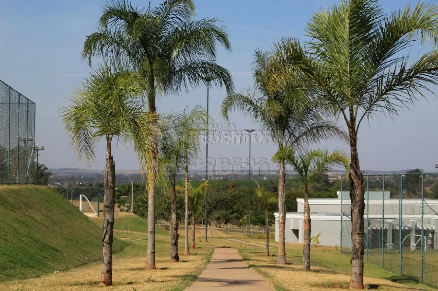 Comprar Terreno / Condomínio em Ipiguá R$ 95.000,00 - Foto 3