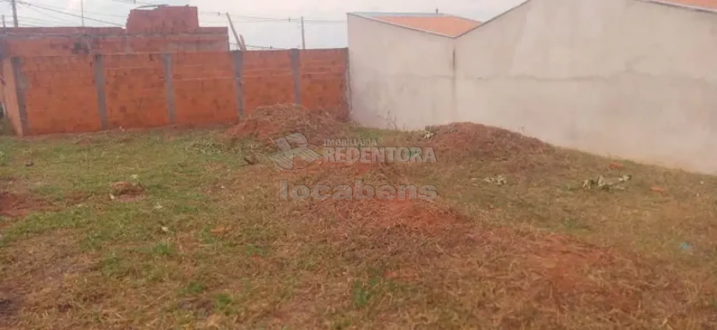 Comprar Terreno / Padrão em São José do Rio Preto apenas R$ 100.000,00 - Foto 2