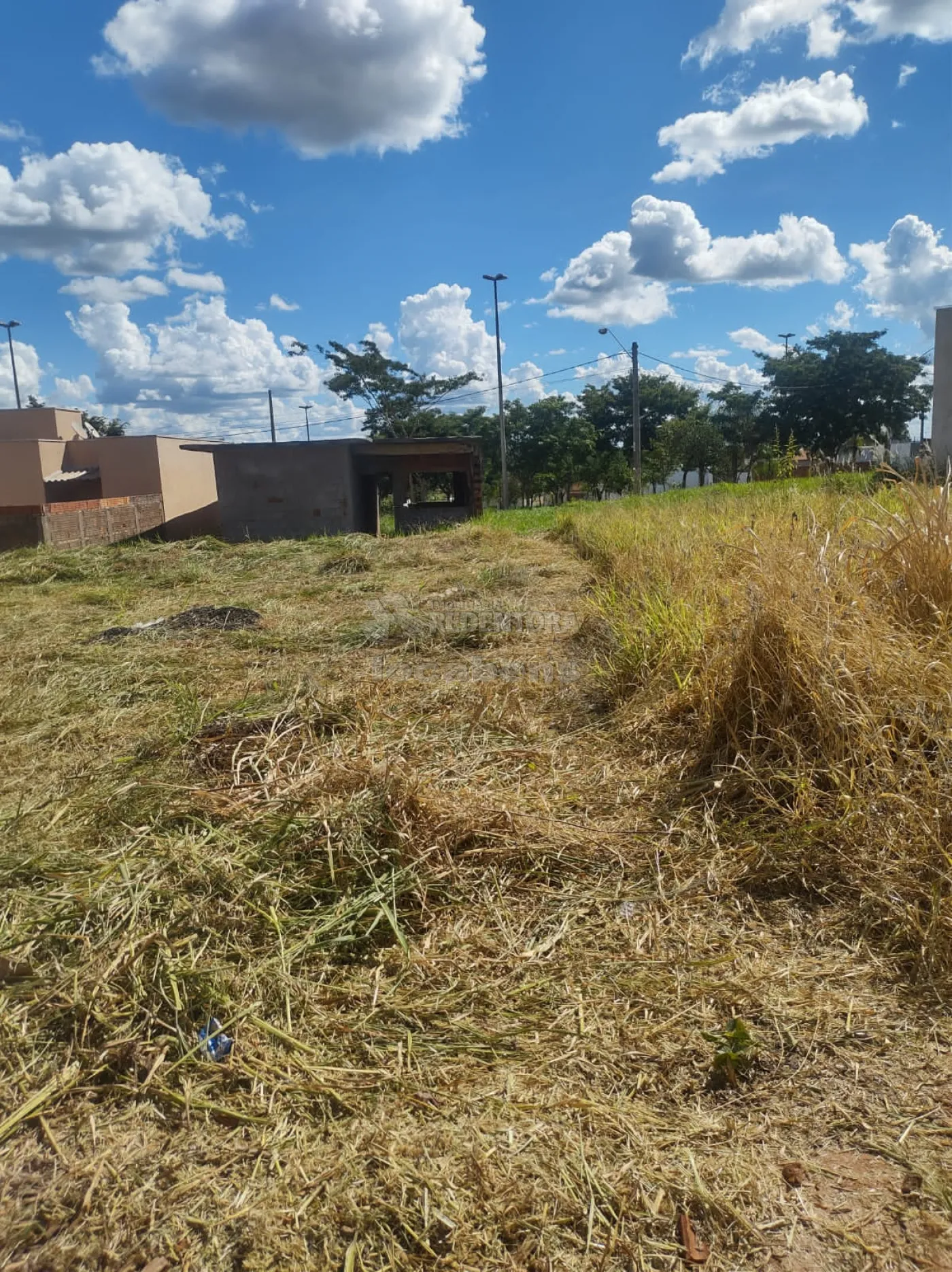 Comprar Terreno / Padrão em Mirassol apenas R$ 90.000,00 - Foto 5