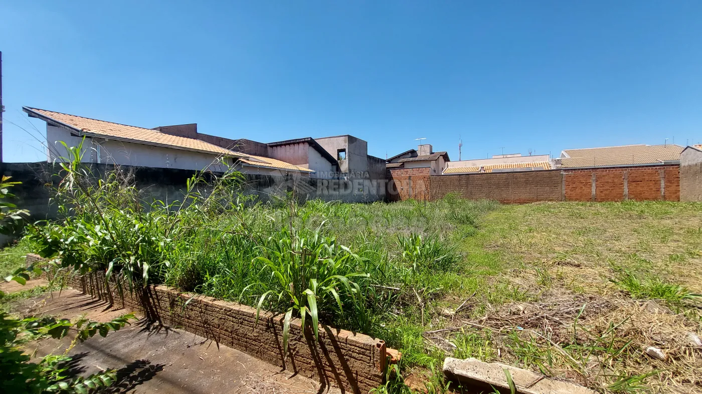 Comprar Terreno / Padrão em São José do Rio Preto R$ 450.000,00 - Foto 2