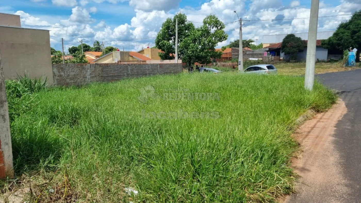 Comprar Terreno / Padrão em Cedral apenas R$ 85.000,00 - Foto 2