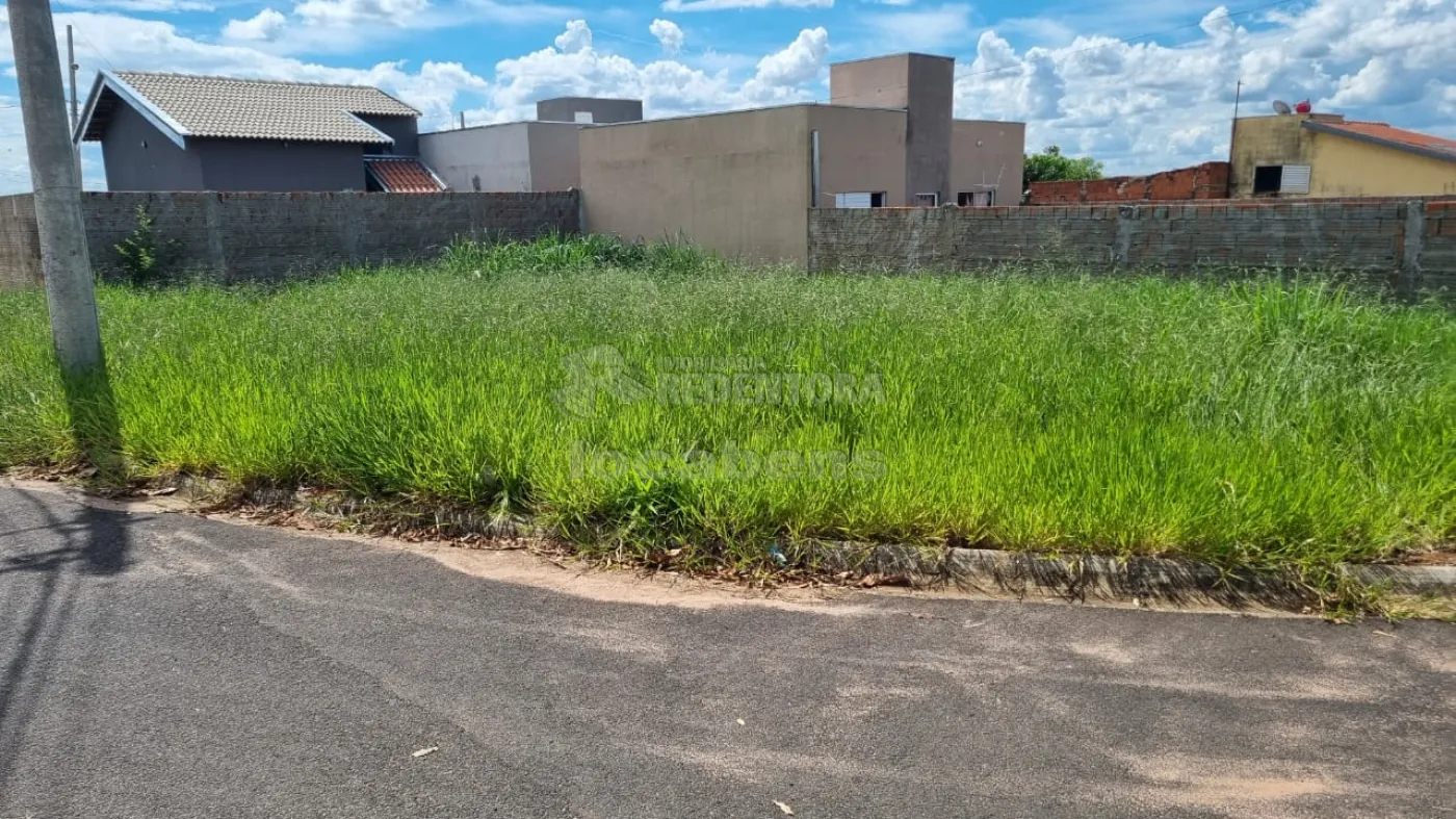 Comprar Terreno / Padrão em Cedral apenas R$ 85.000,00 - Foto 1