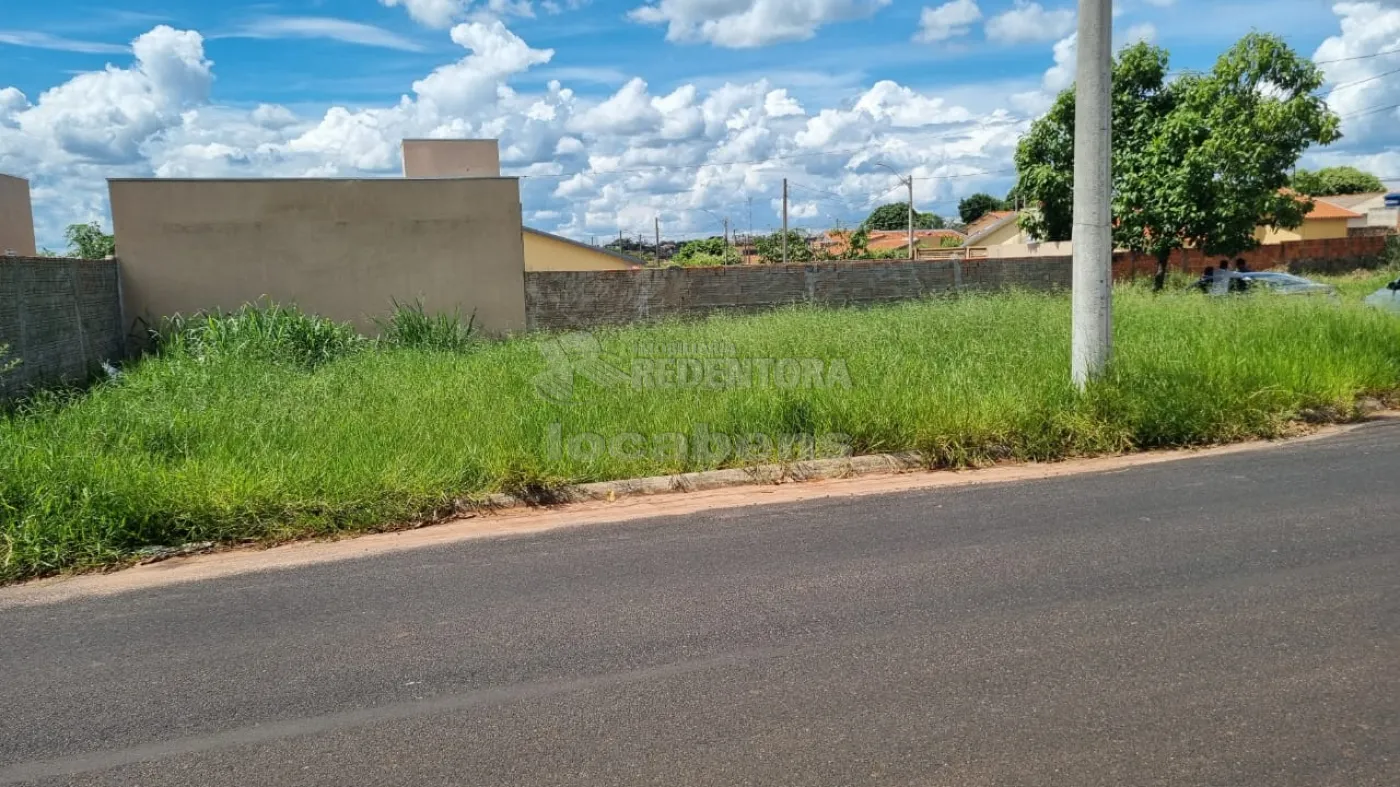 Comprar Terreno / Padrão em Cedral apenas R$ 85.000,00 - Foto 3