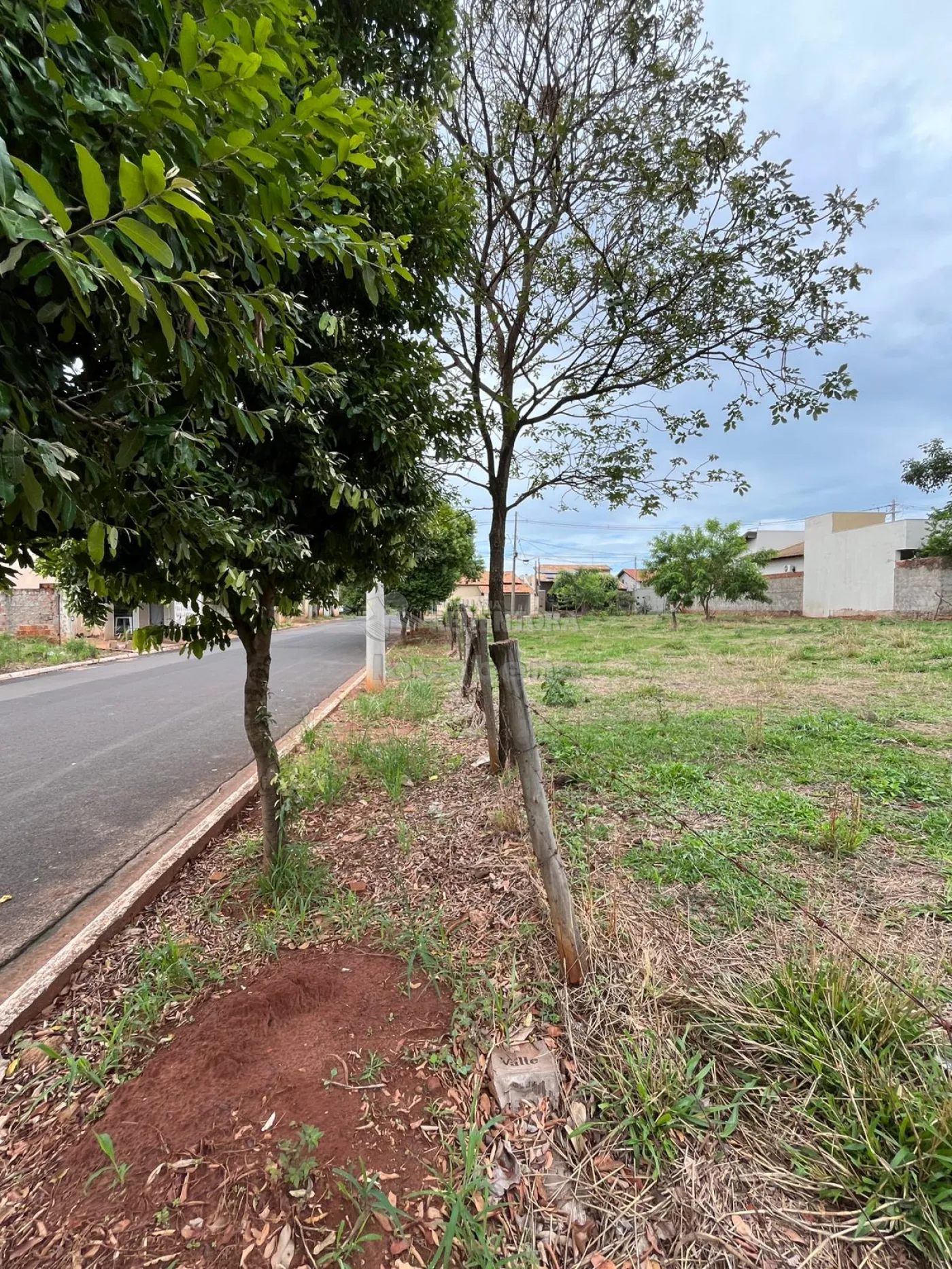 Comprar Terreno / Padrão em Palestina R$ 79.500,00 - Foto 3