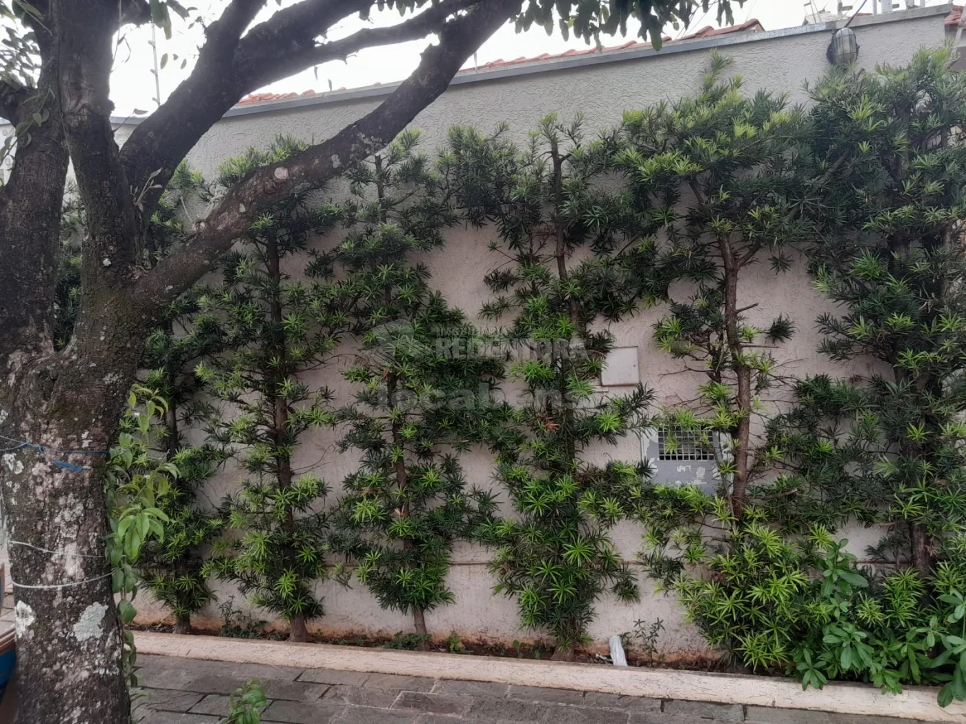 Alugar Casa / Padrão em São José do Rio Preto apenas R$ 2.700,00 - Foto 28