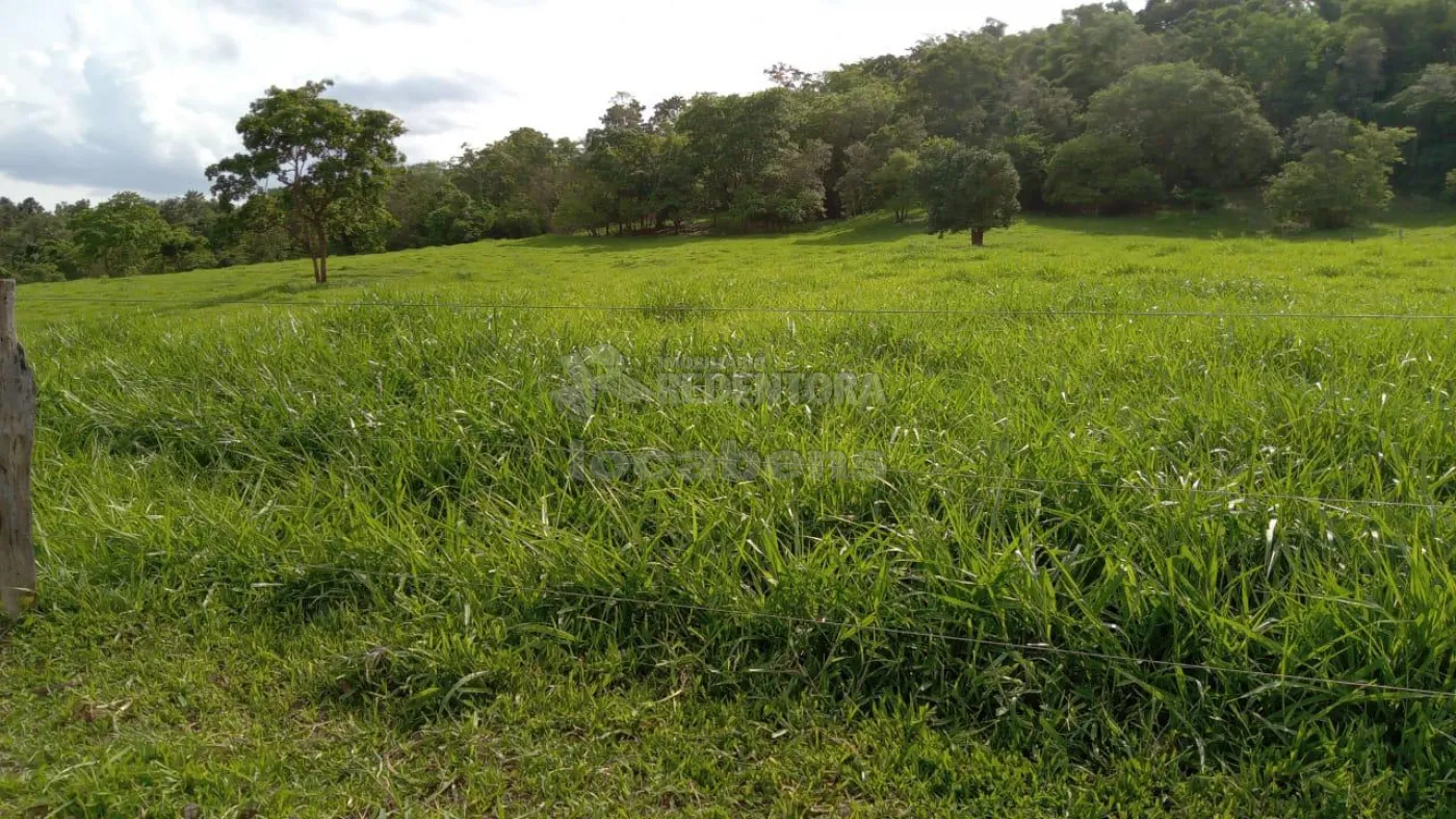 Comprar Rural / Fazenda em Comendador Gomes apenas R$ 4.000.000,00 - Foto 4