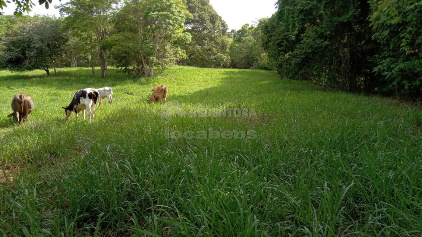 Comprar Rural / Fazenda em Comendador Gomes apenas R$ 4.000.000,00 - Foto 5