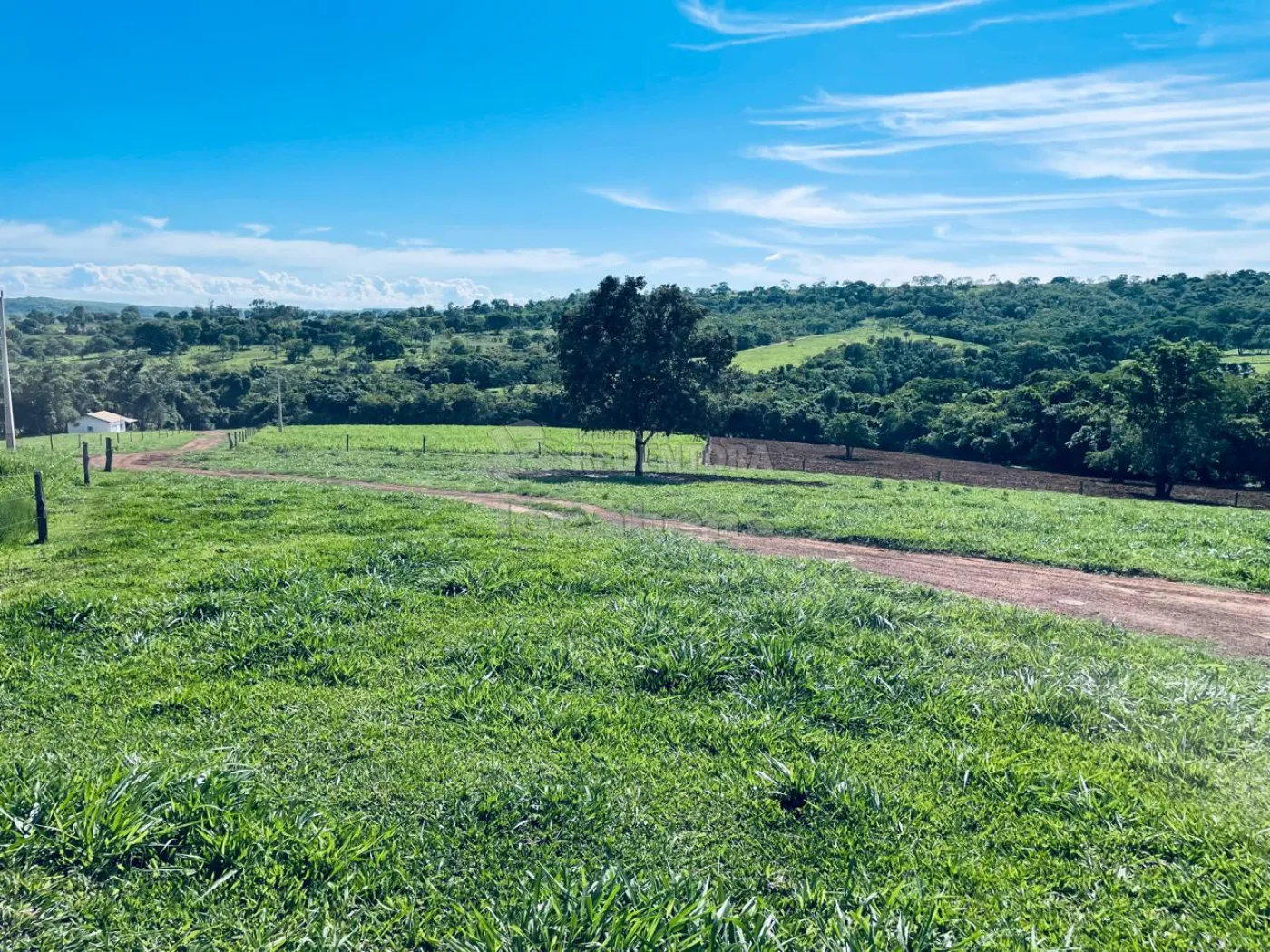 Fazenda à venda com 4 quartos, 530m² - Foto 21