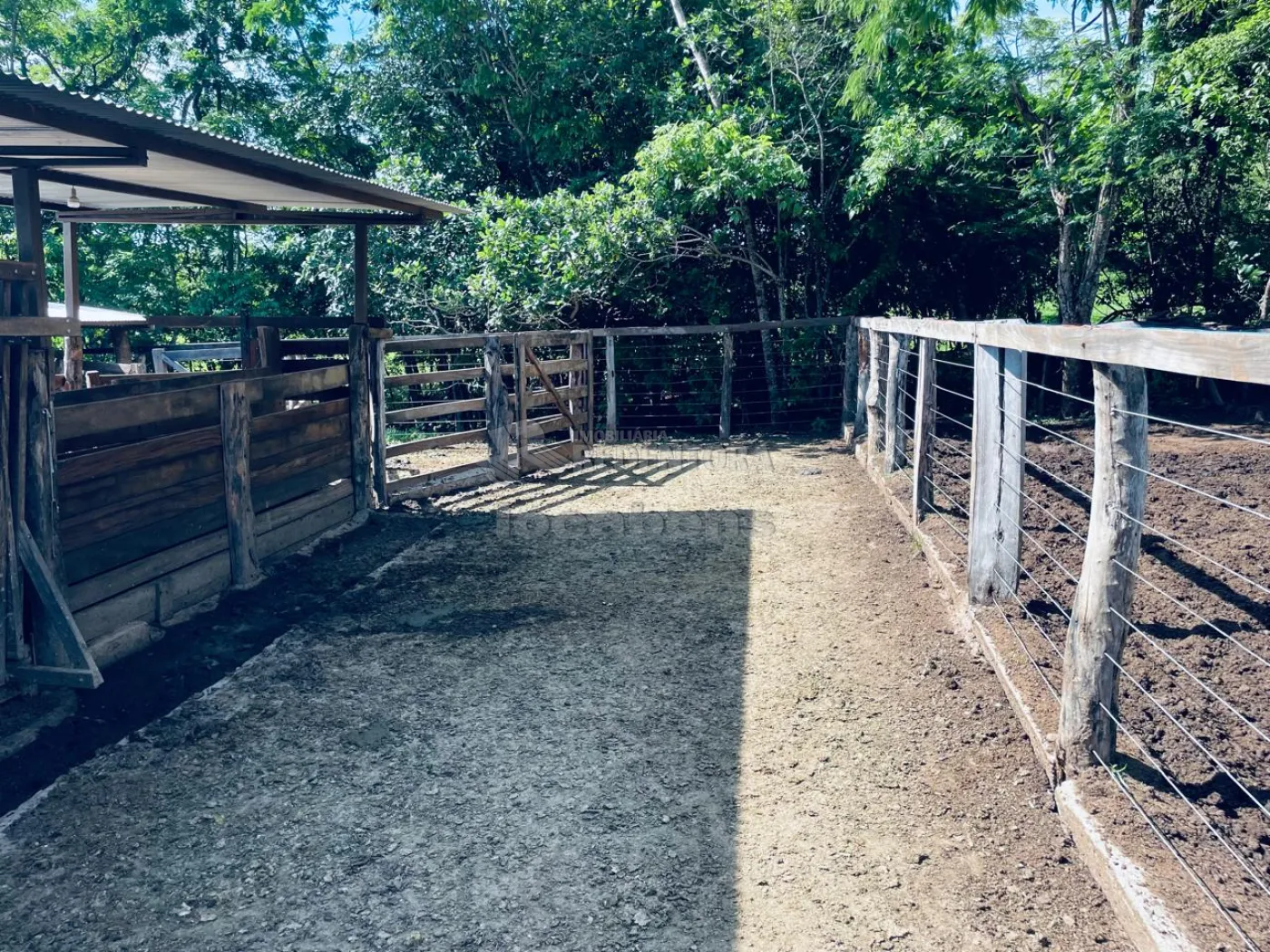 Fazenda à venda com 4 quartos, 530m² - Foto 22