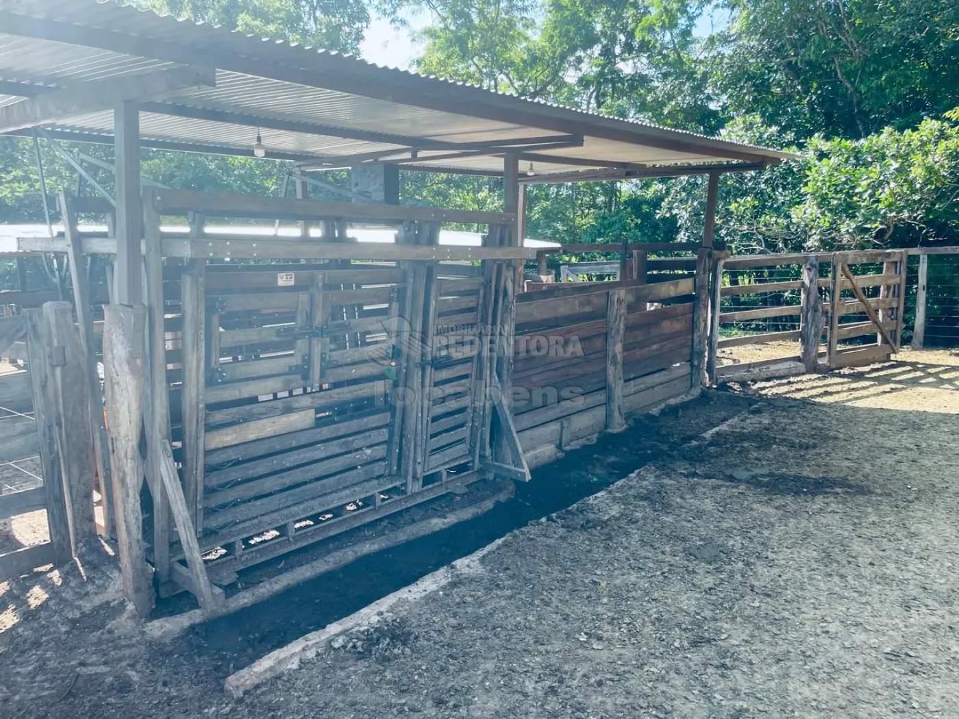 Fazenda à venda com 4 quartos, 530m² - Foto 23