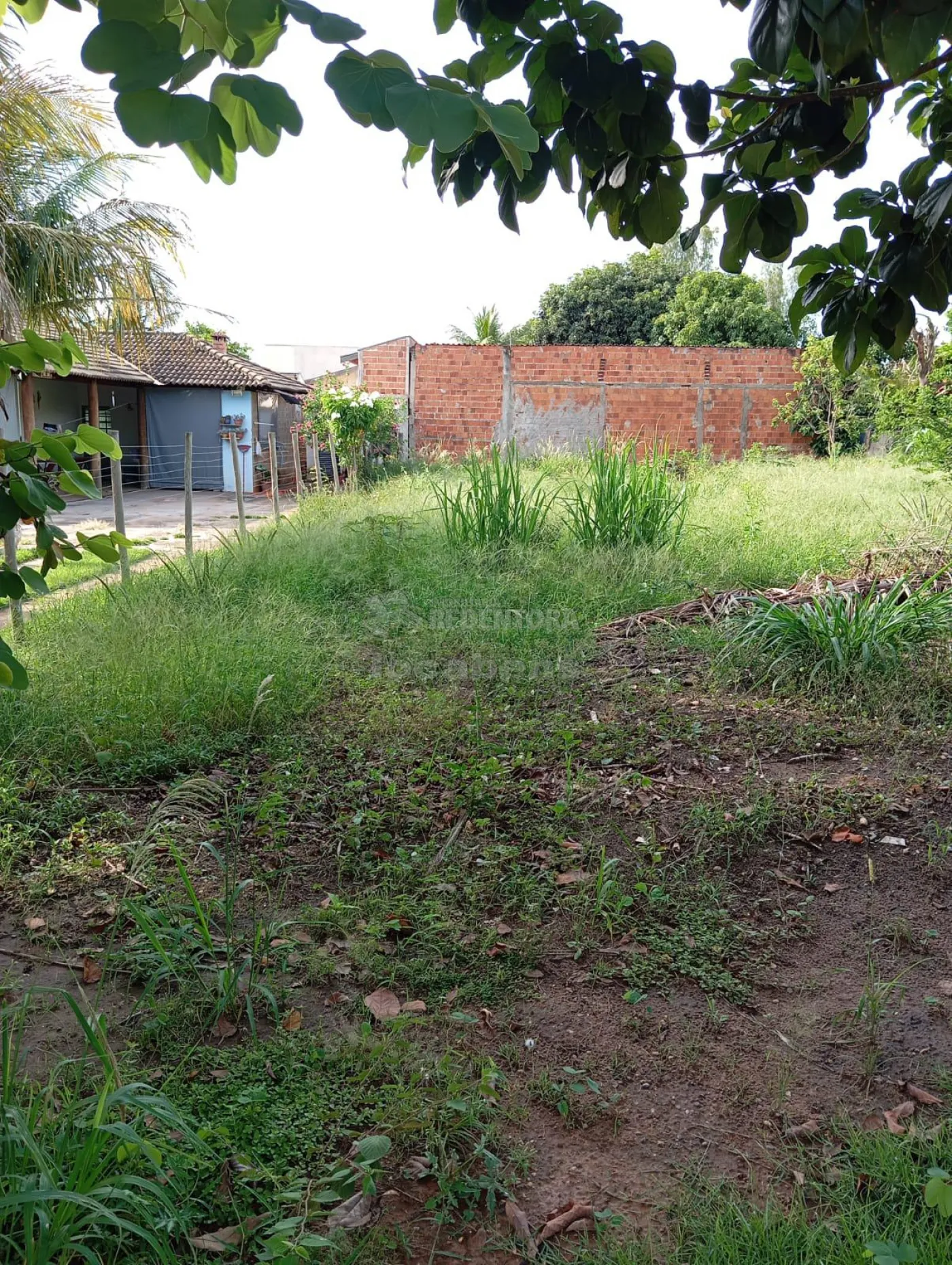 Comprar Terreno / Condomínio em Buritama R$ 90.000,00 - Foto 6