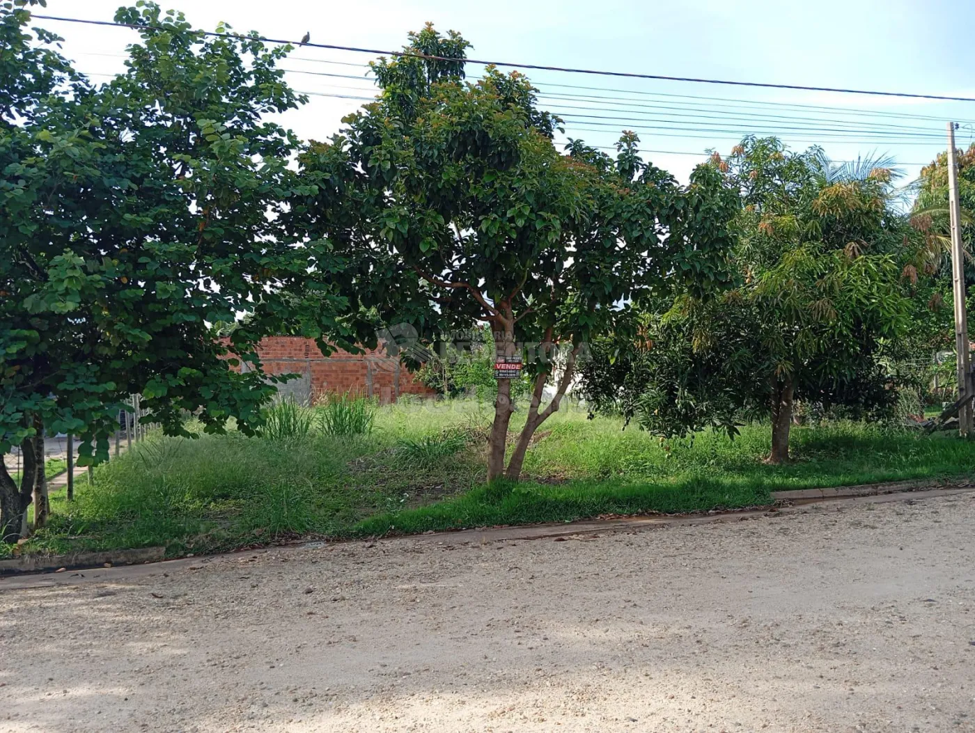 Comprar Terreno / Condomínio em Buritama R$ 90.000,00 - Foto 7