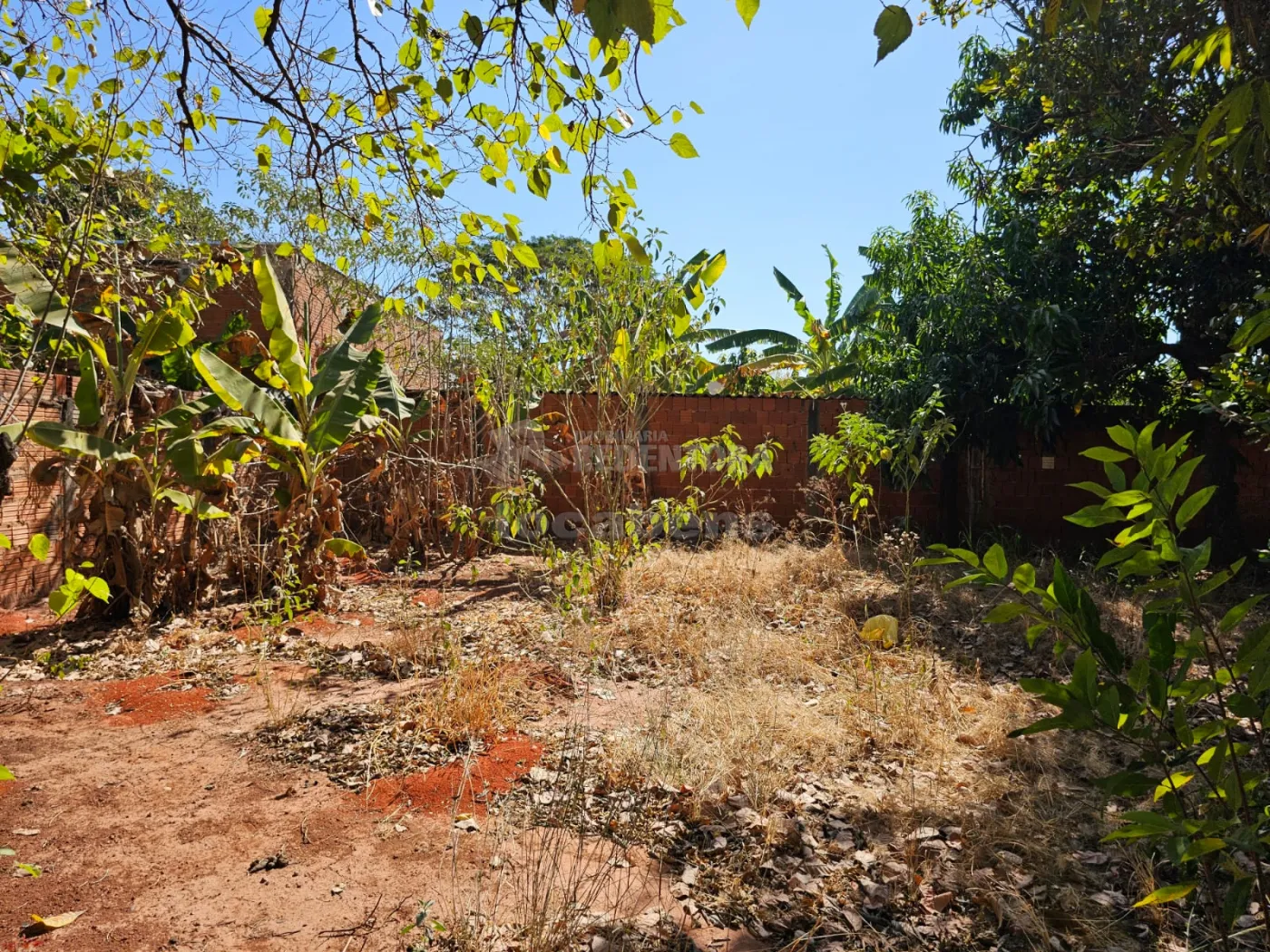 Comprar Rural / Chácara em São José do Rio Preto apenas R$ 250.000,00 - Foto 9