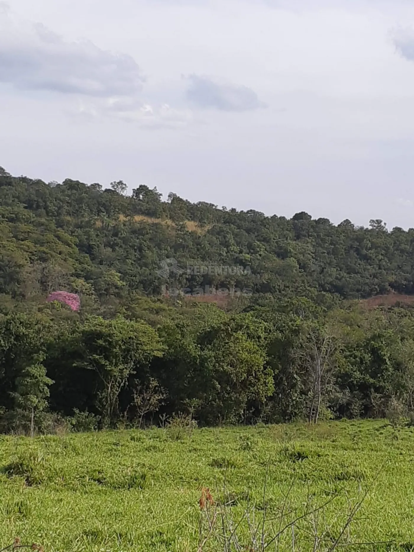 Comprar Rural / Sítio em Cachoeira Alta apenas R$ 6.800.000,00 - Foto 9