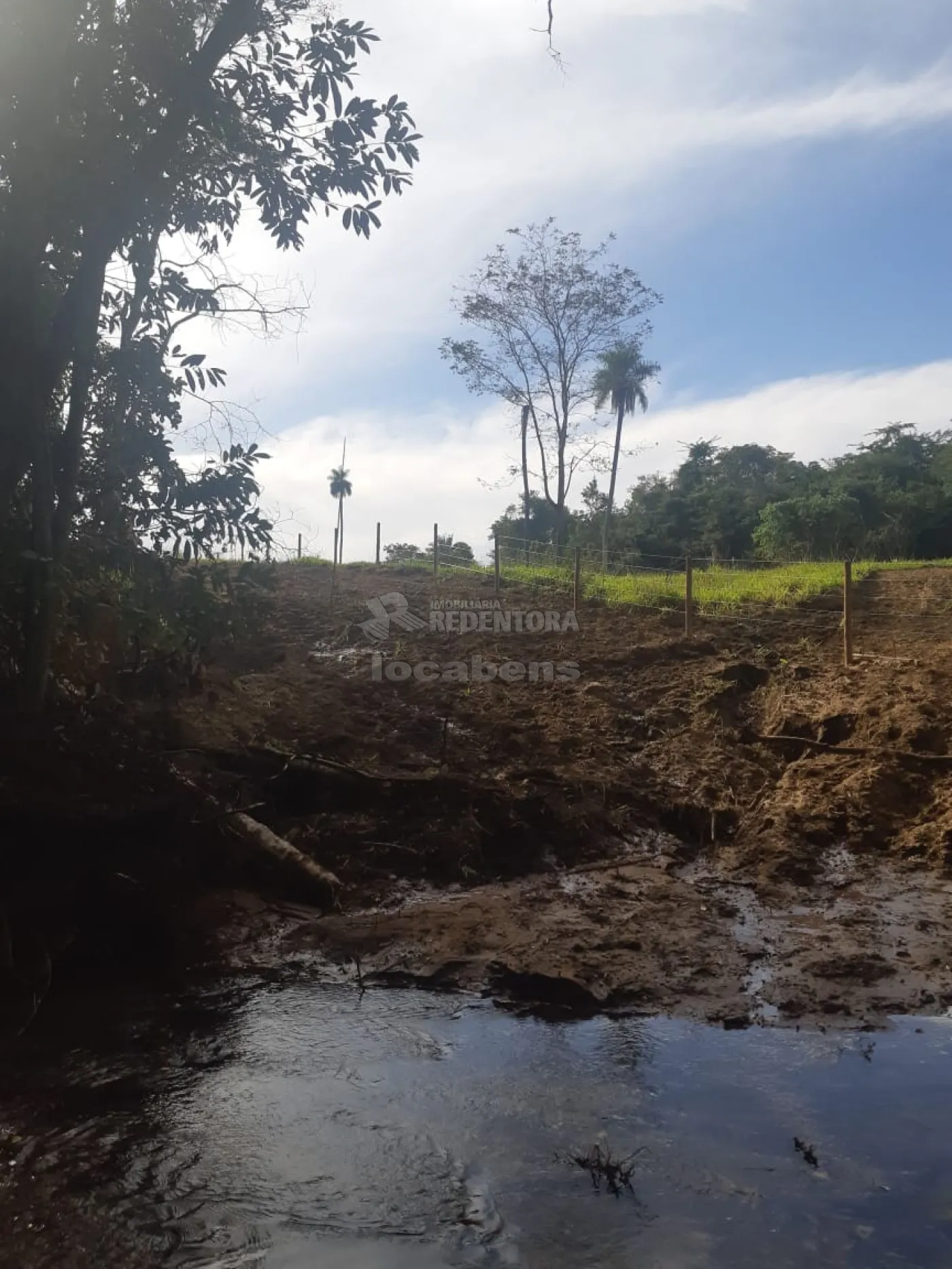 Comprar Rural / Sítio em Cachoeira Alta apenas R$ 6.800.000,00 - Foto 10