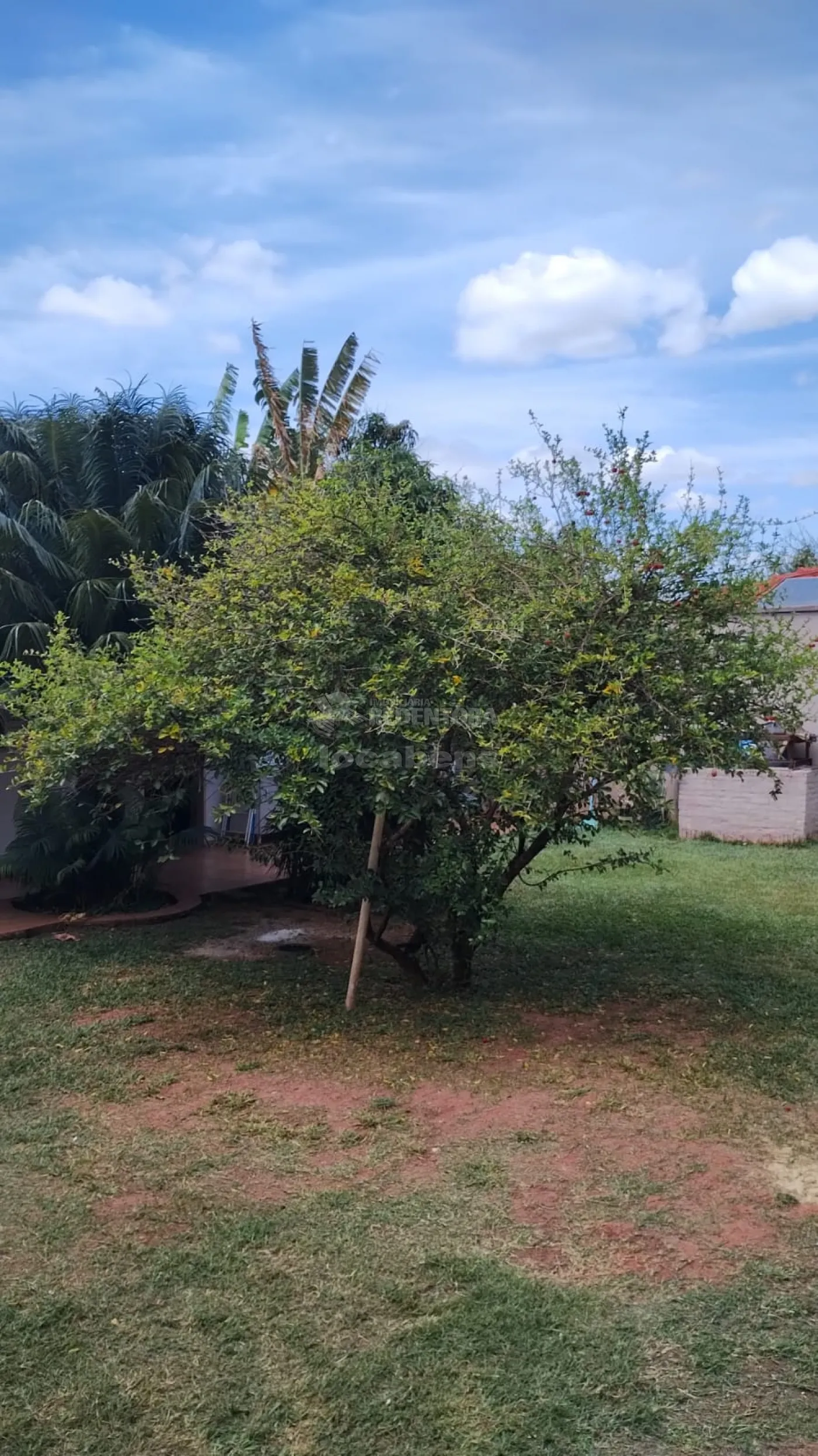 Comprar Casa / Condomínio em Guapiaçu apenas R$ 1.000.000,00 - Foto 18