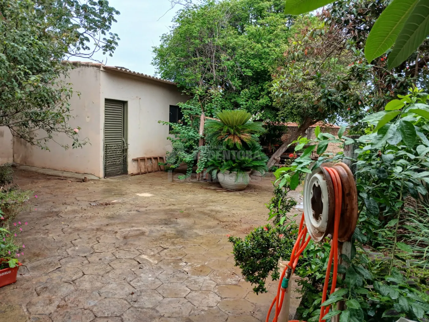 Comprar Casa / Padrão em São José do Rio Preto apenas R$ 680.000,00 - Foto 19