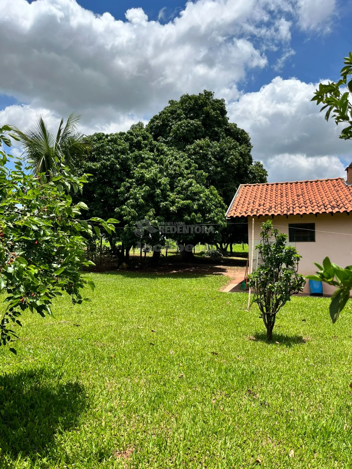 Fazenda à venda, 36300m² - Foto 4