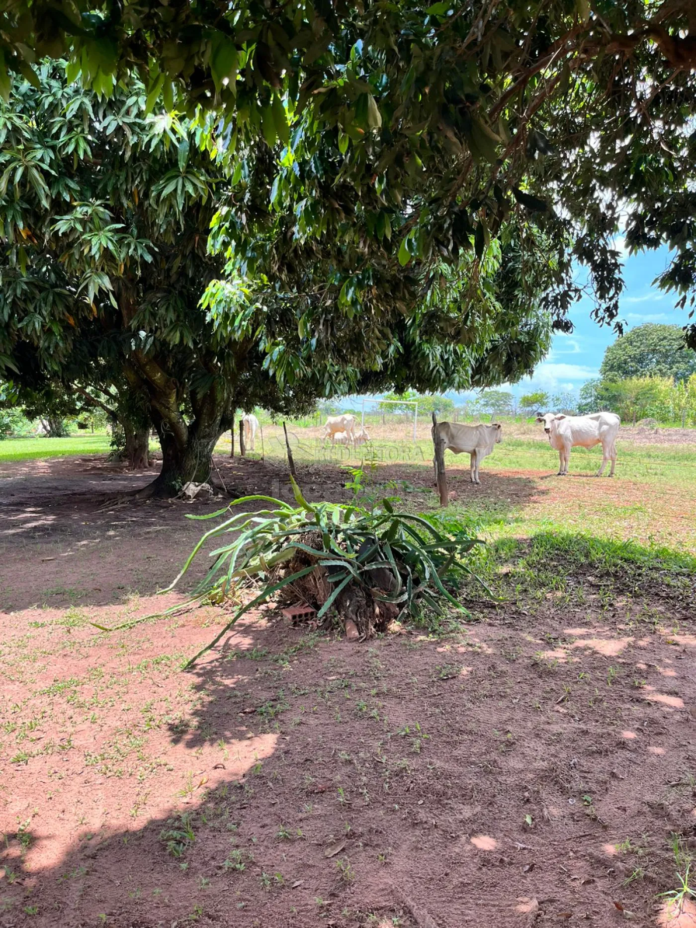 Fazenda à venda, 36300m² - Foto 35