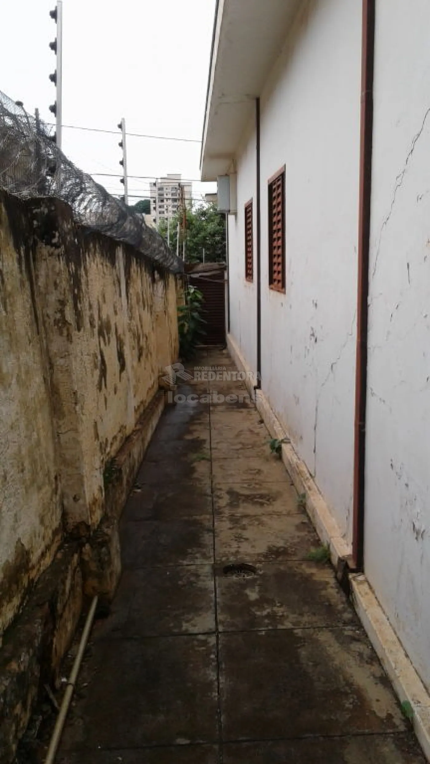 Comprar Casa / Padrão em São José do Rio Preto apenas R$ 320.000,00 - Foto 5