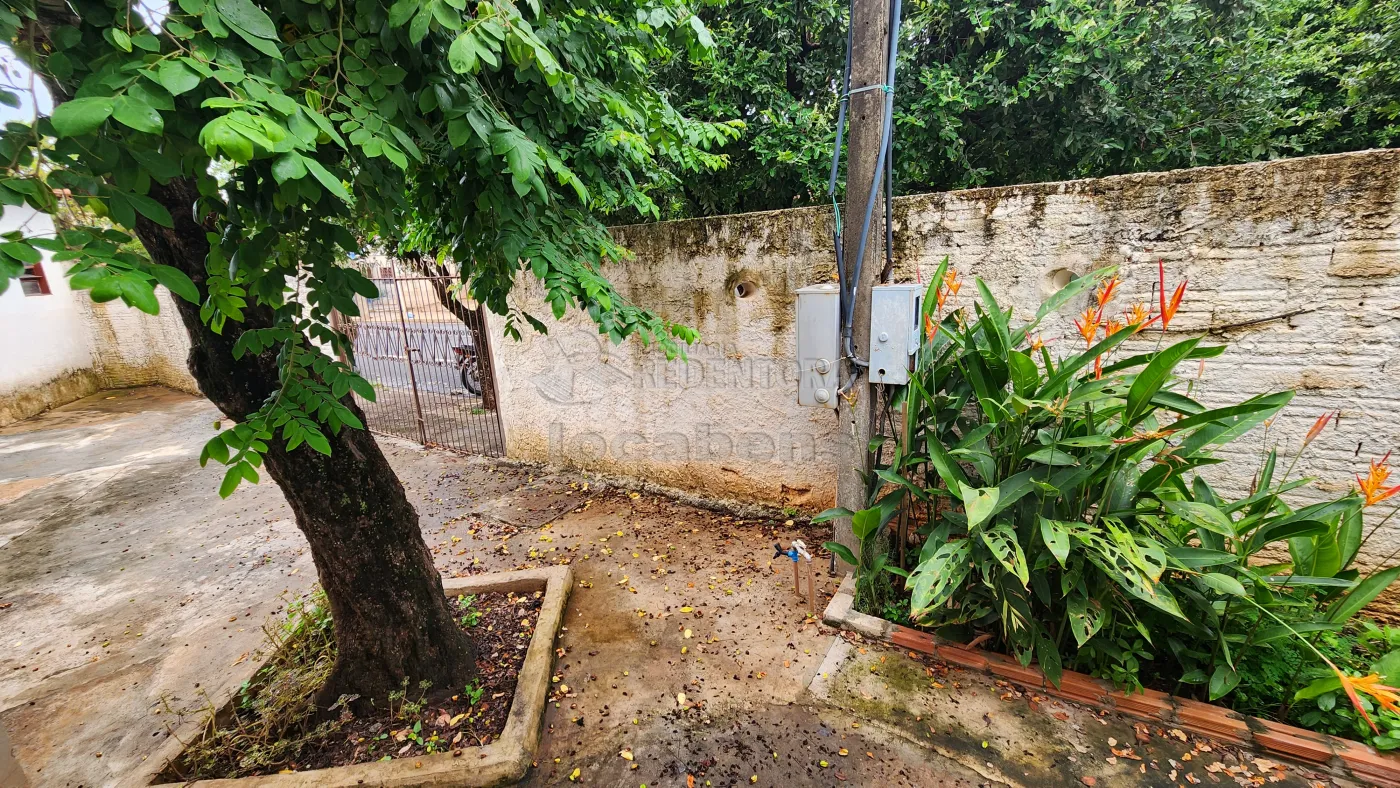 Alugar Casa / Padrão em São José do Rio Preto R$ 850,00 - Foto 12