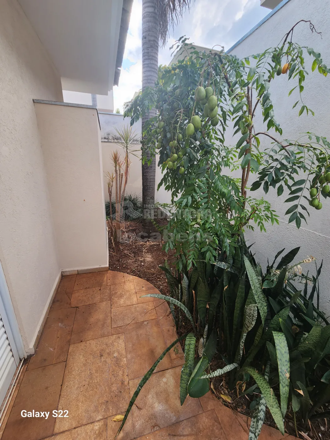 Alugar Casa / Condomínio em São José do Rio Preto R$ 5.200,00 - Foto 12