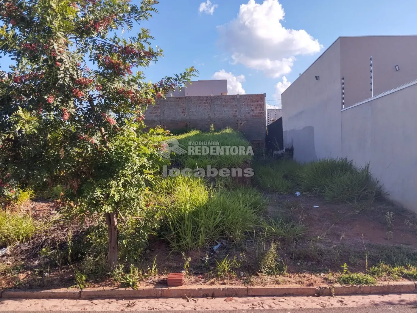 Comprar Terreno / Padrão em São José do Rio Preto R$ 110.000,00 - Foto 2