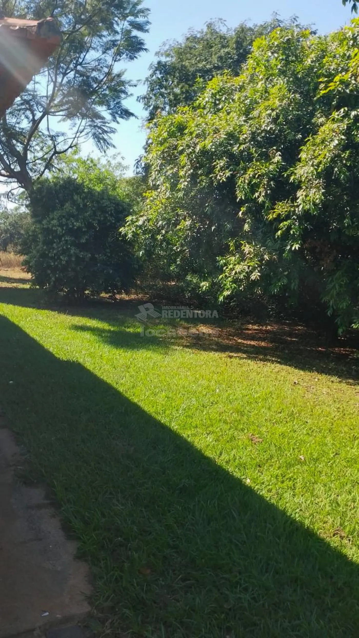 Comprar Rural / Chácara em Bady Bassitt apenas R$ 480.000,00 - Foto 2