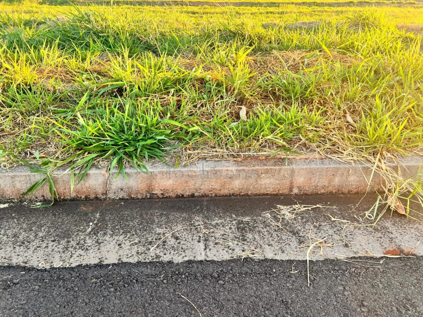 Comprar Terreno / Padrão em São José do Rio Preto apenas R$ 270.000,00 - Foto 2