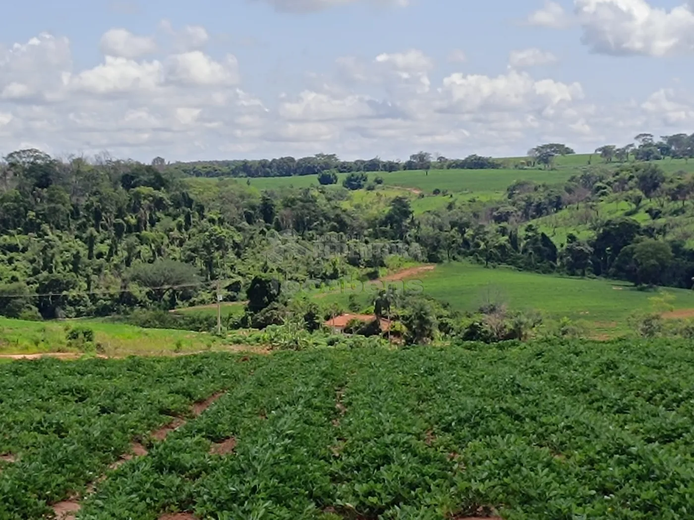 Comprar Rural / Fazenda em Tanabi apenas R$ 2.550.000,00 - Foto 6