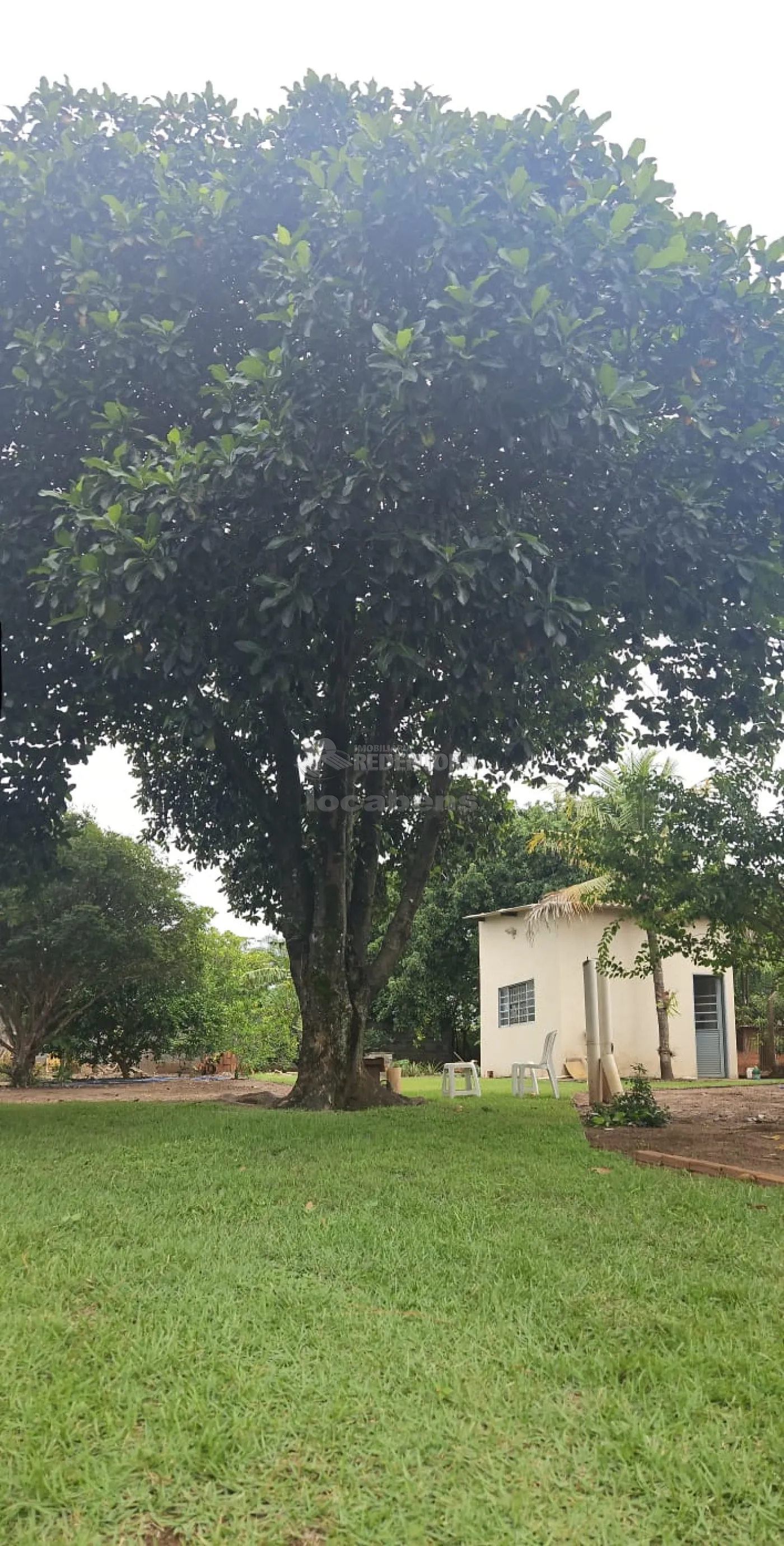 Comprar Rural / Chácara em São José do Rio Preto apenas R$ 270.000,00 - Foto 4