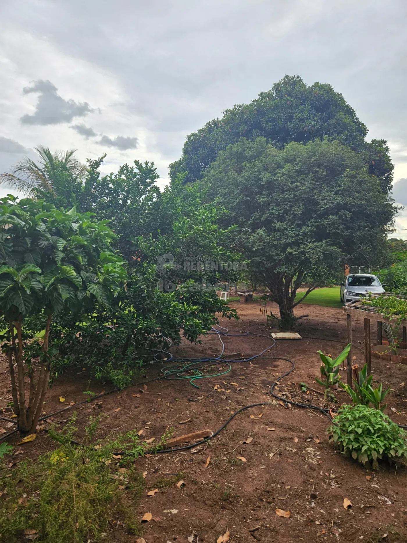 Comprar Rural / Chácara em São José do Rio Preto apenas R$ 270.000,00 - Foto 8