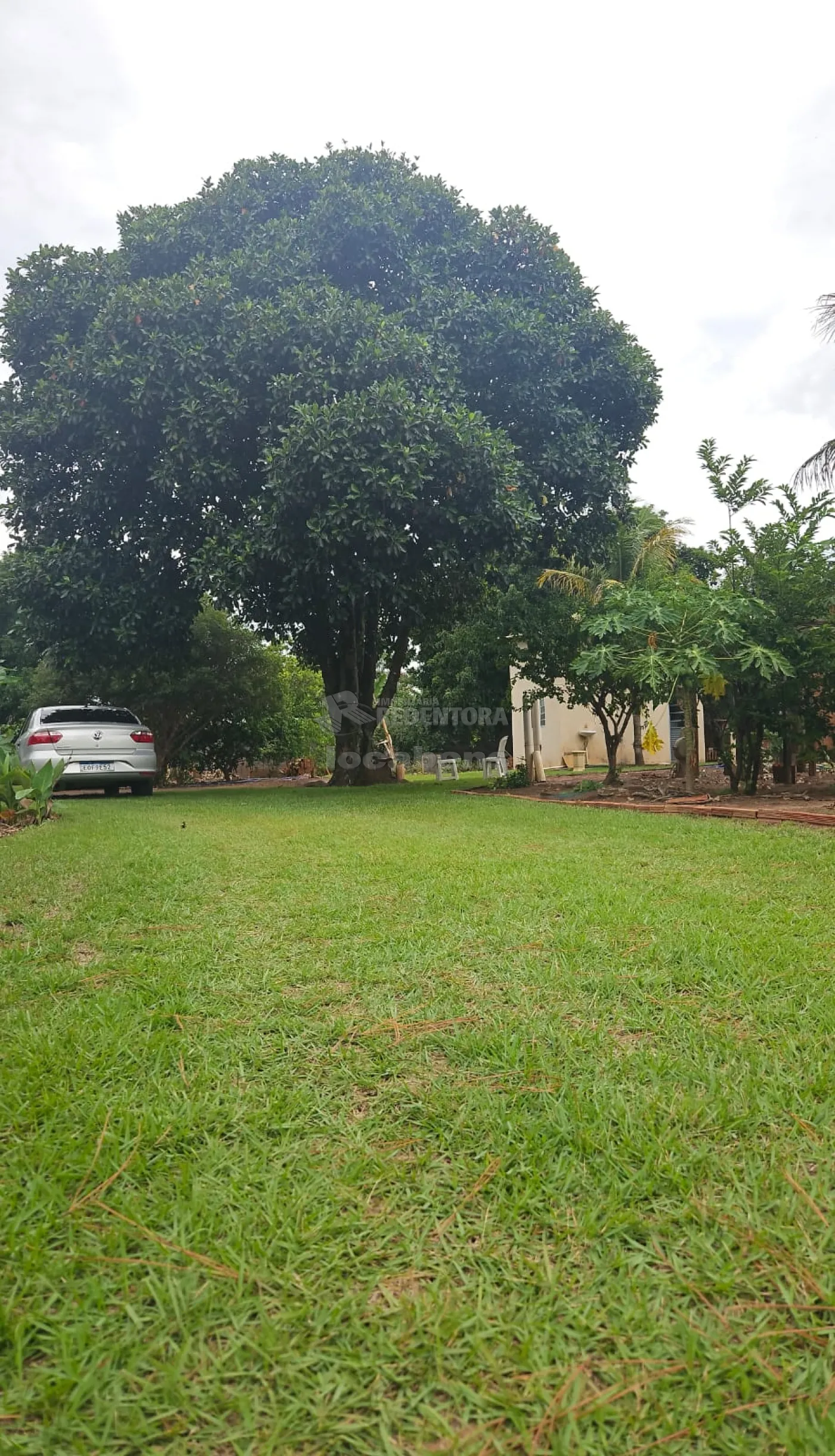 Comprar Rural / Chácara em São José do Rio Preto apenas R$ 270.000,00 - Foto 9