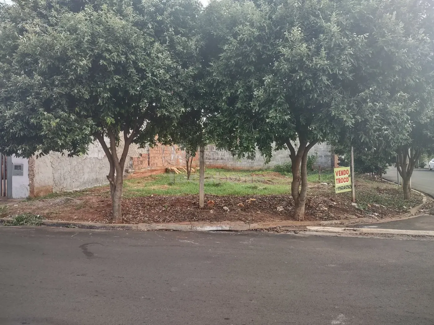 Comprar Terreno / Padrão em São José do Rio Preto apenas R$ 130.000,00 - Foto 3