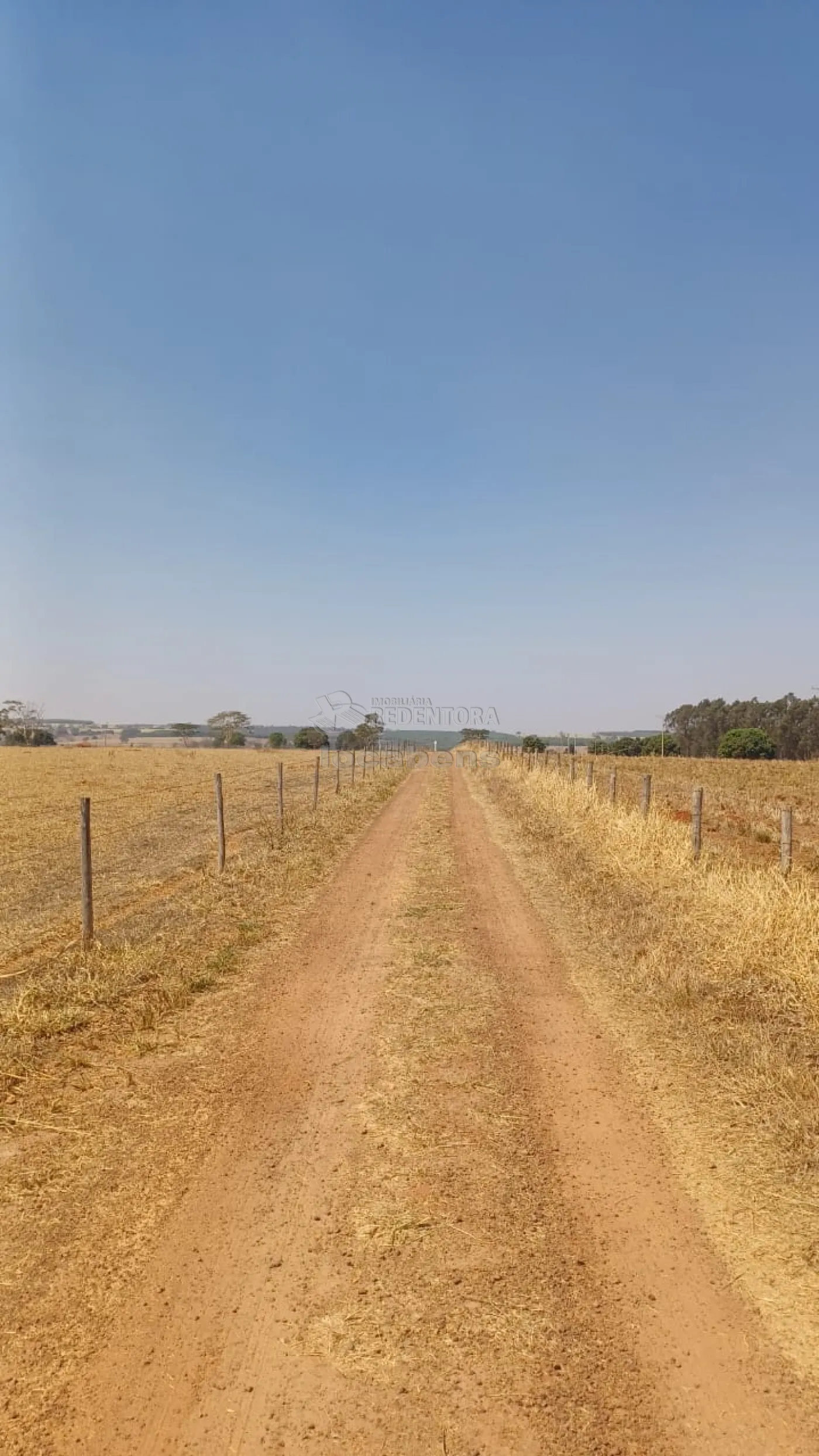 Fazenda à venda, 145200m² - Foto 10