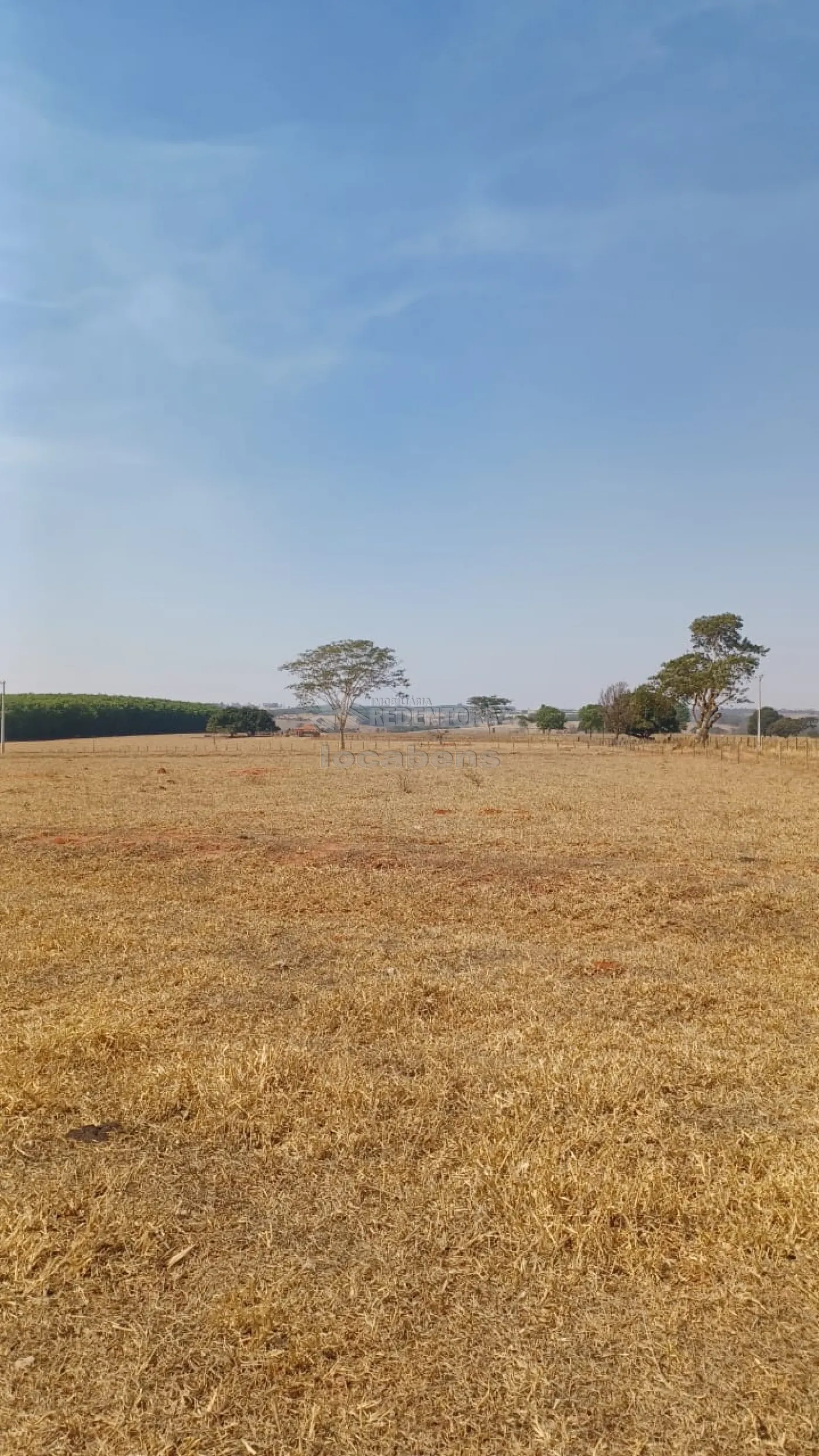 Fazenda à venda, 145200m² - Foto 11