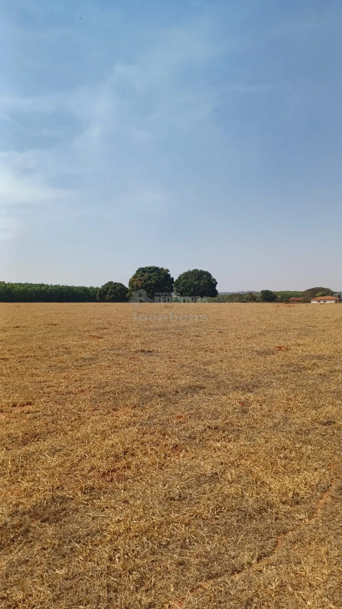 Fazenda à venda, 145200m² - Foto 16