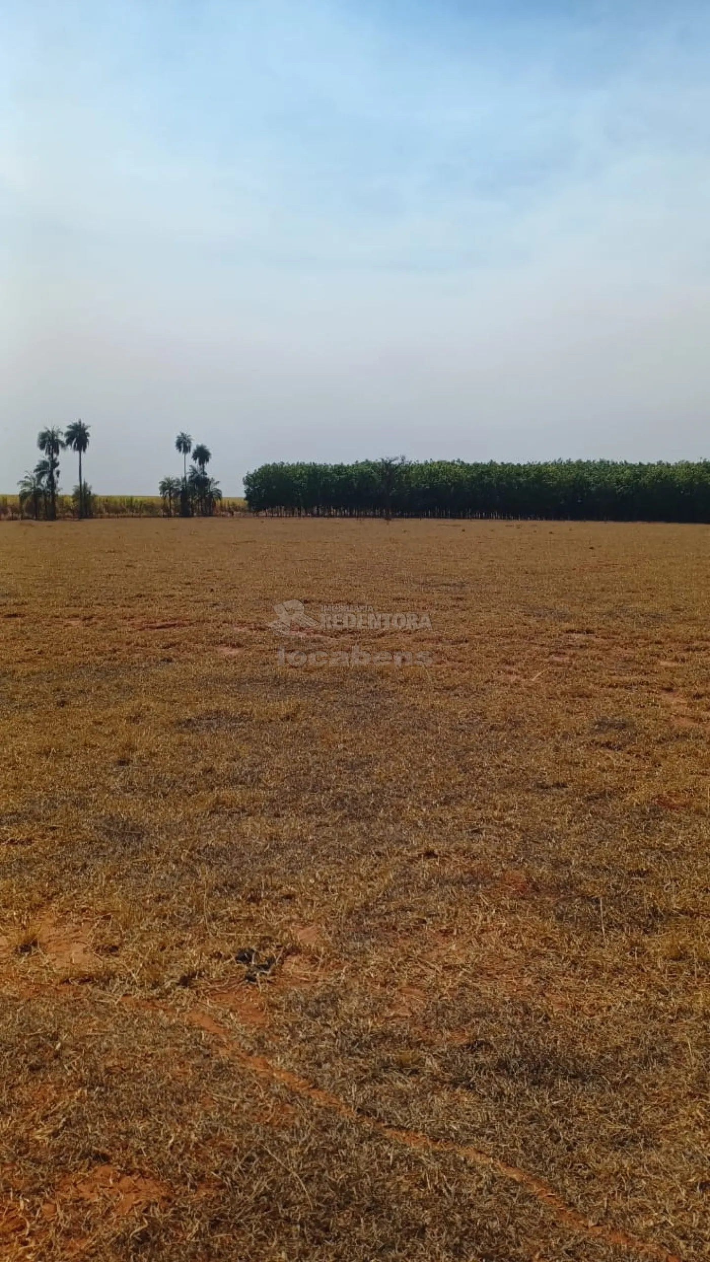 Fazenda à venda, 145200m² - Foto 19