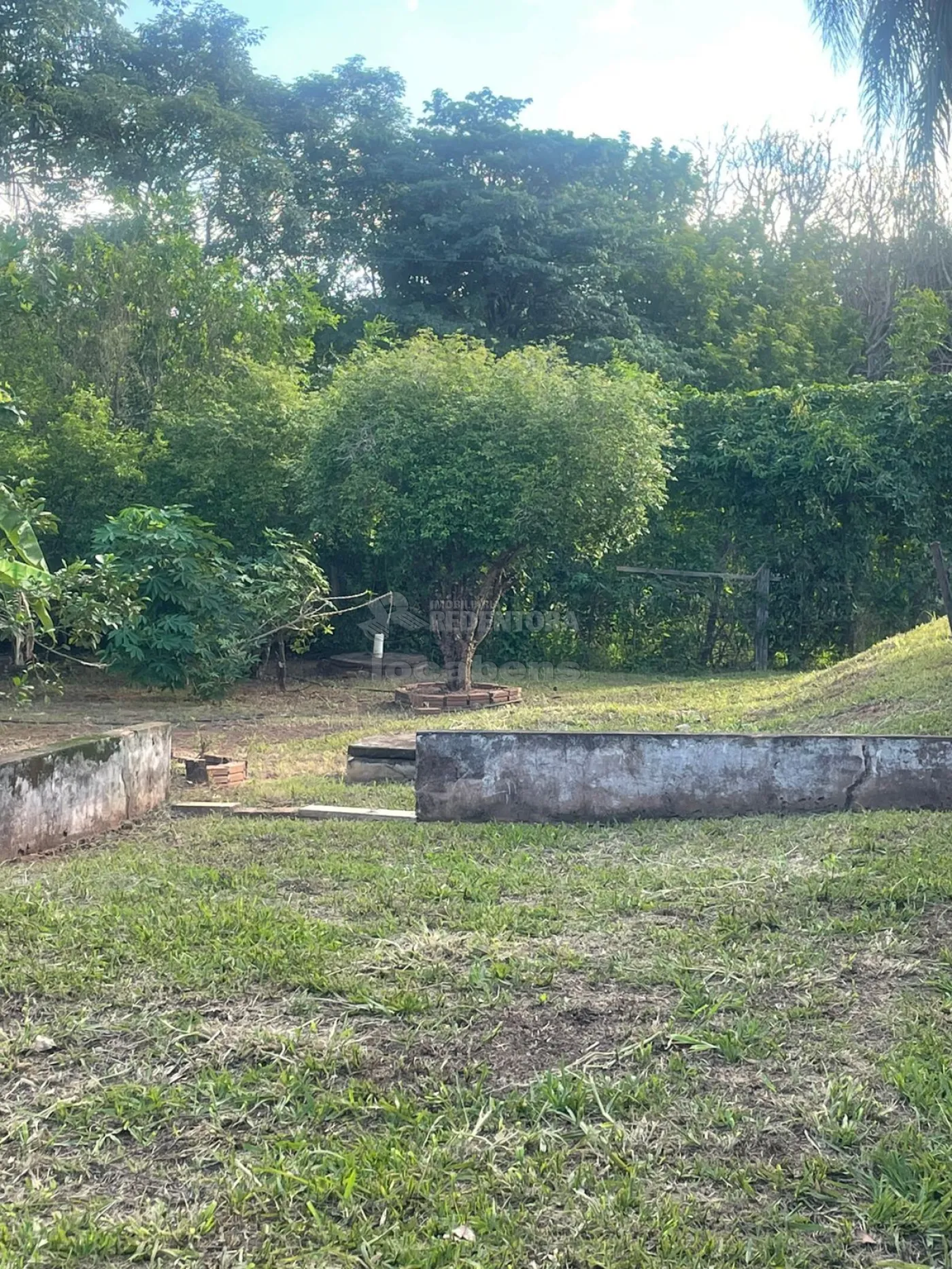 Alugar Rural / Chácara em São José do Rio Preto apenas R$ 5.000,00 - Foto 3