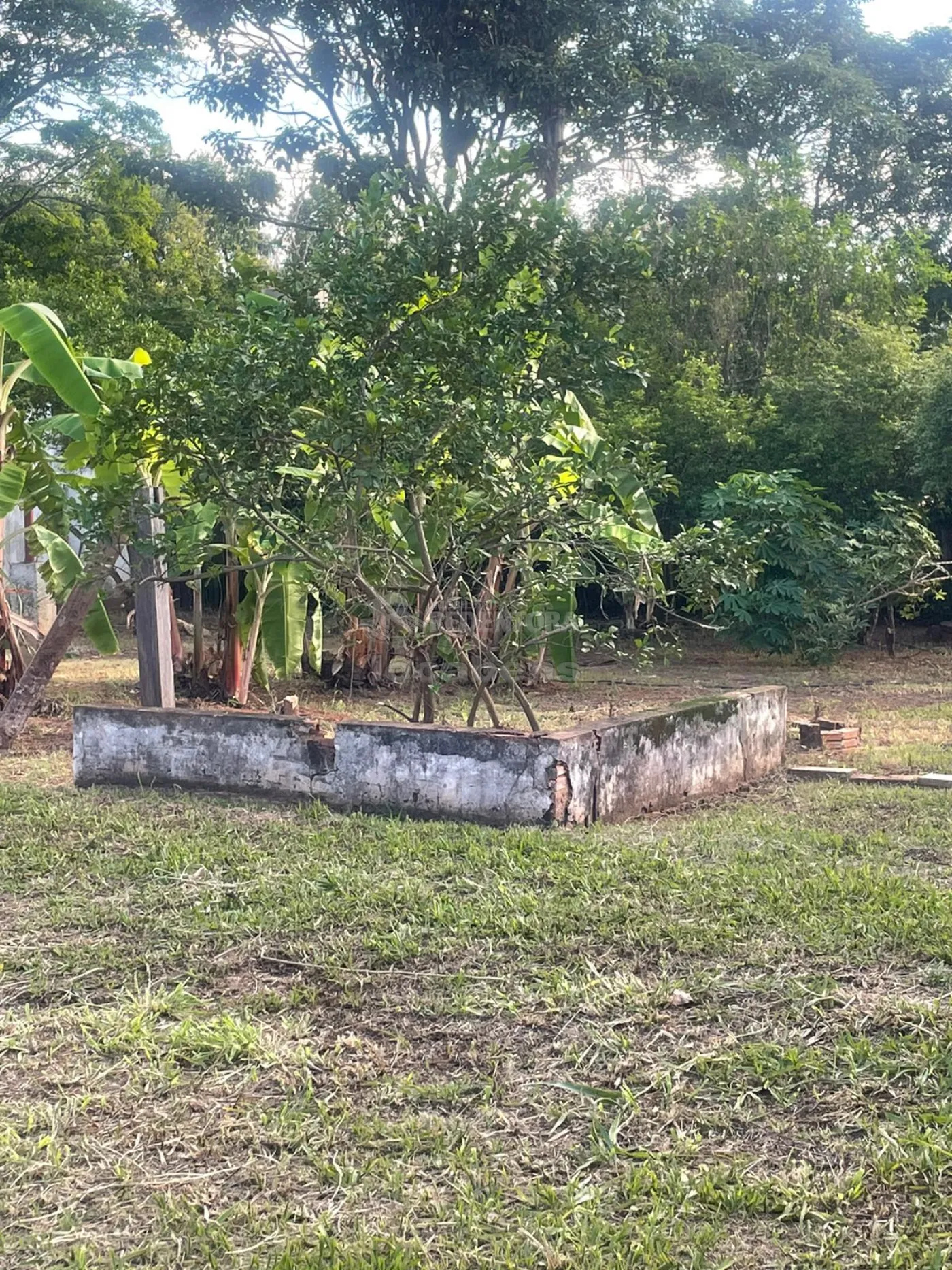 Alugar Rural / Chácara em São José do Rio Preto apenas R$ 5.000,00 - Foto 4