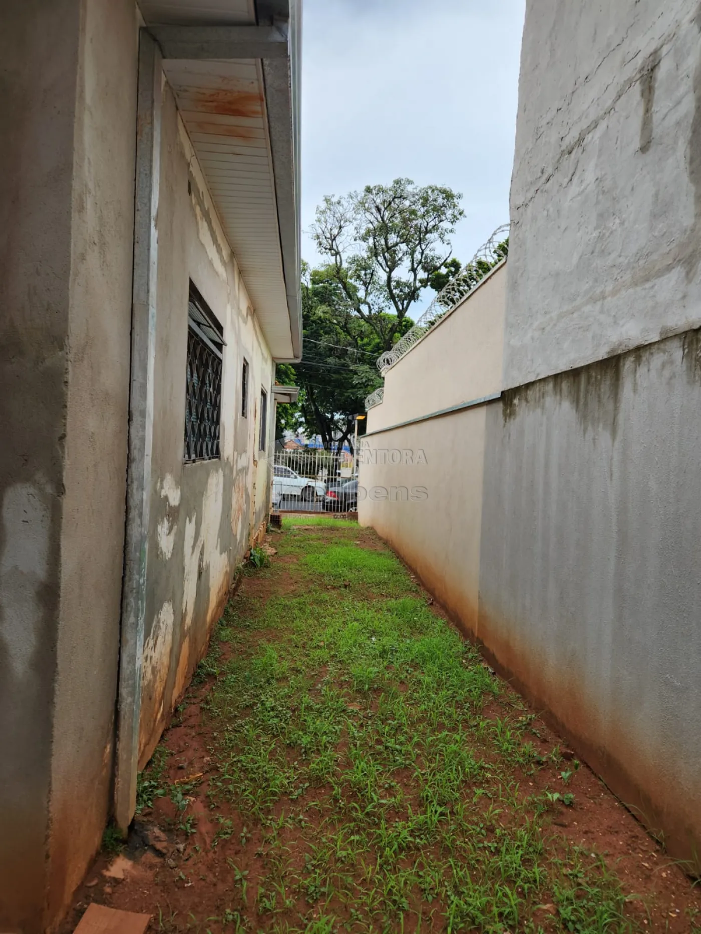 Comprar Casa / Padrão em São José do Rio Preto apenas R$ 380.000,00 - Foto 3